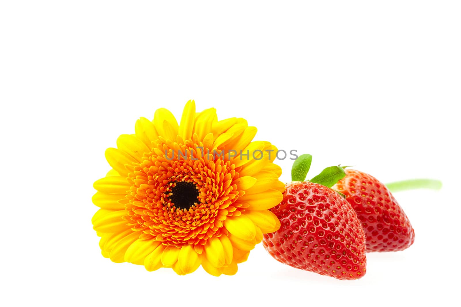 flower and strawberry isolated on white