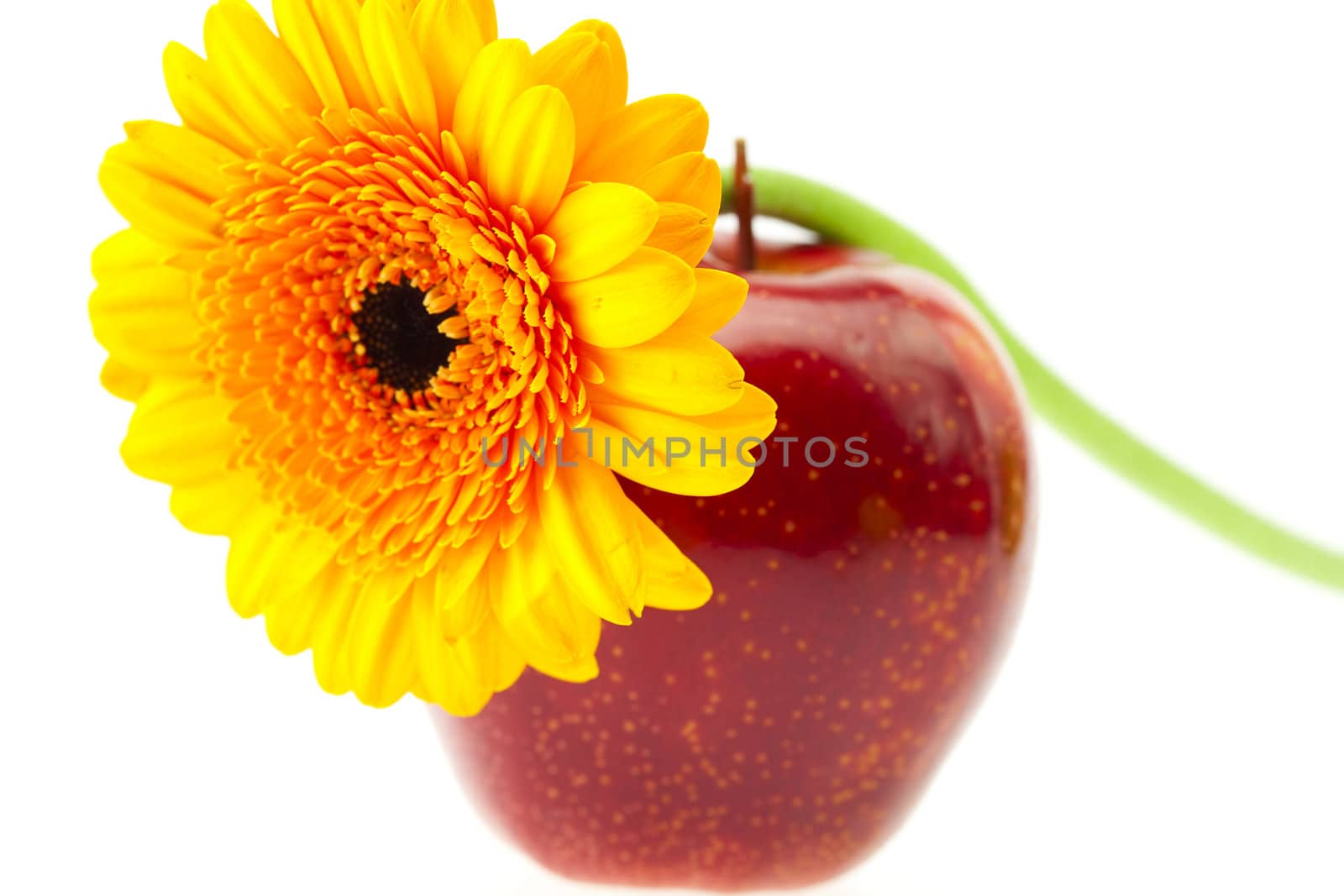 flower and apple isolated on white