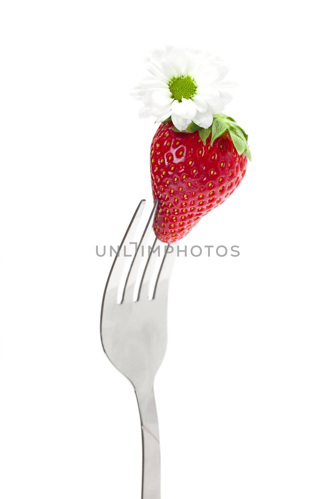 strawberry and flower on a fork isolated on white