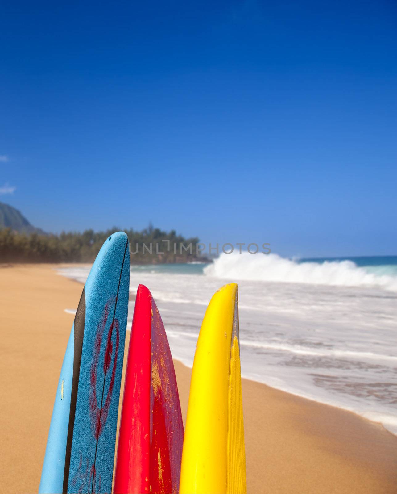 TIps of surf board or surfboards at Lumahai beach in Kauai Hawaii on sandy shore by ocean