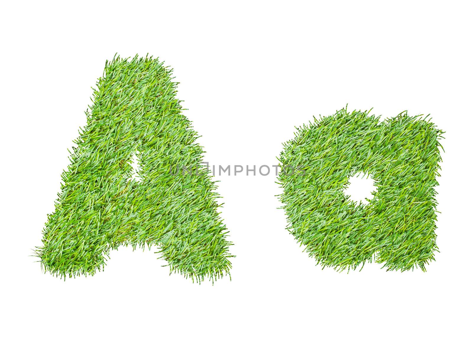 Alphabet from the green grass. isolated on white