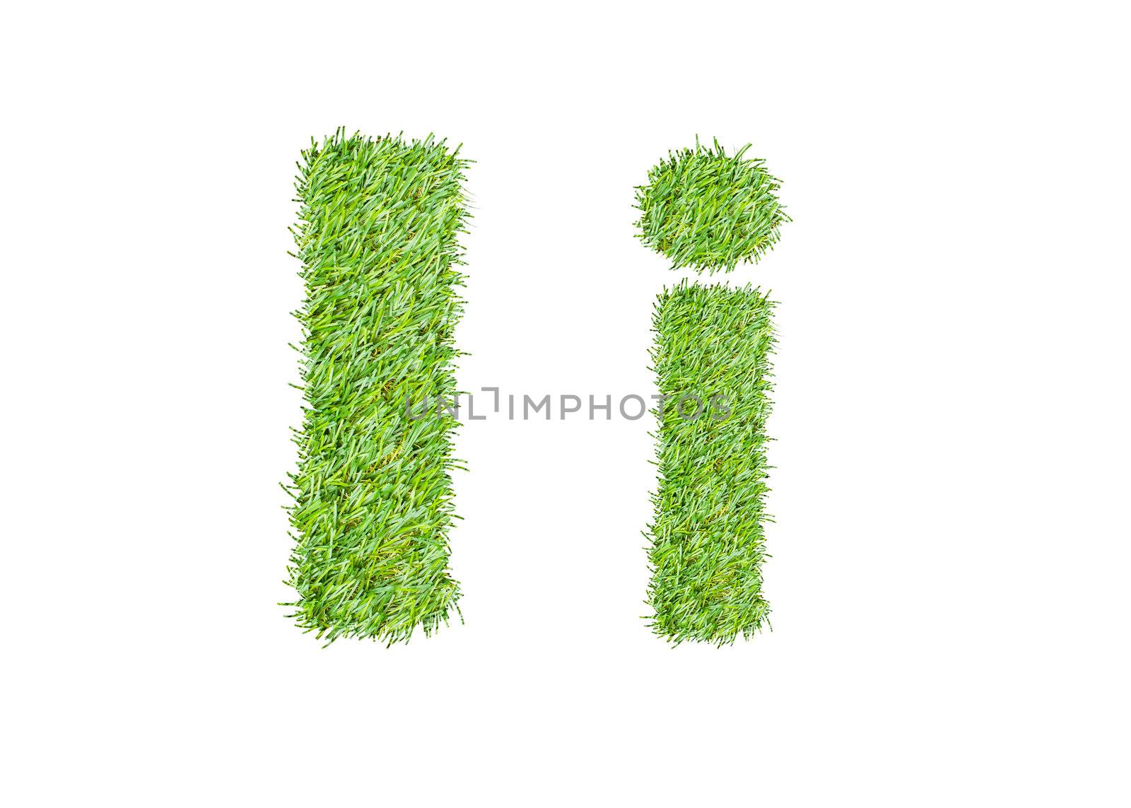 Alphabet from the green grass. isolated on white
