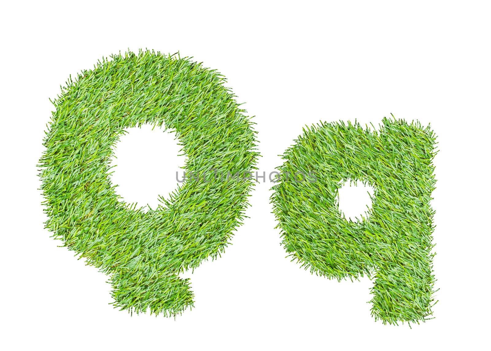 Alphabet from the green grass. isolated on white