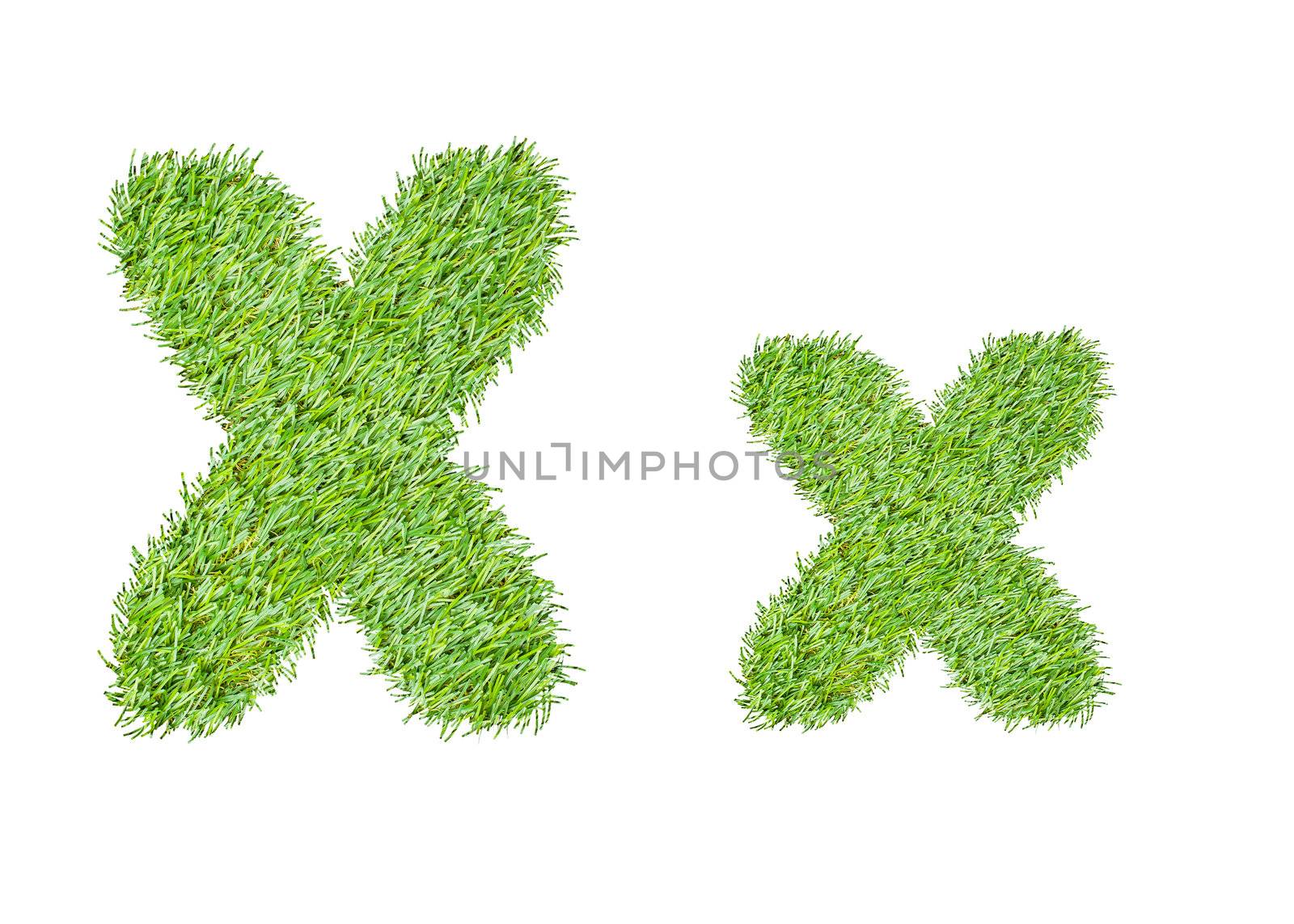 Alphabet from the green grass. isolated on white
