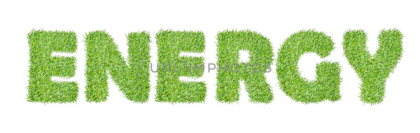 the word ENERGY  from the green grass, isolated on white