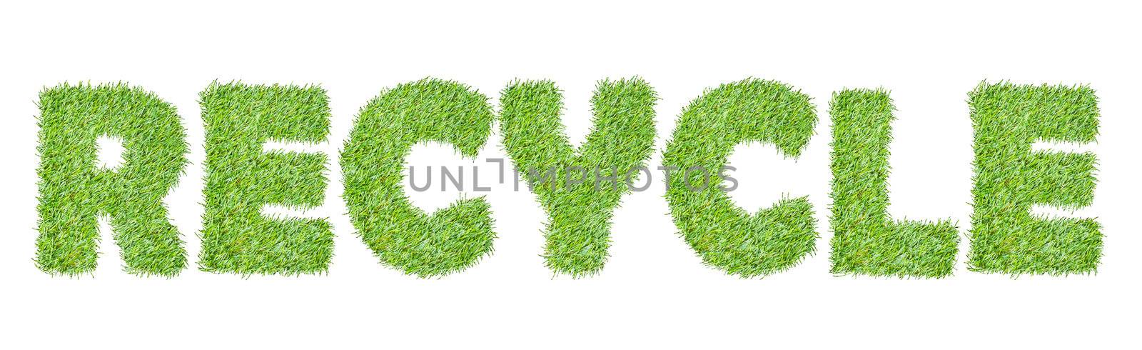 the word RECYCLE from the green grass, isolated on white by FrameAngel