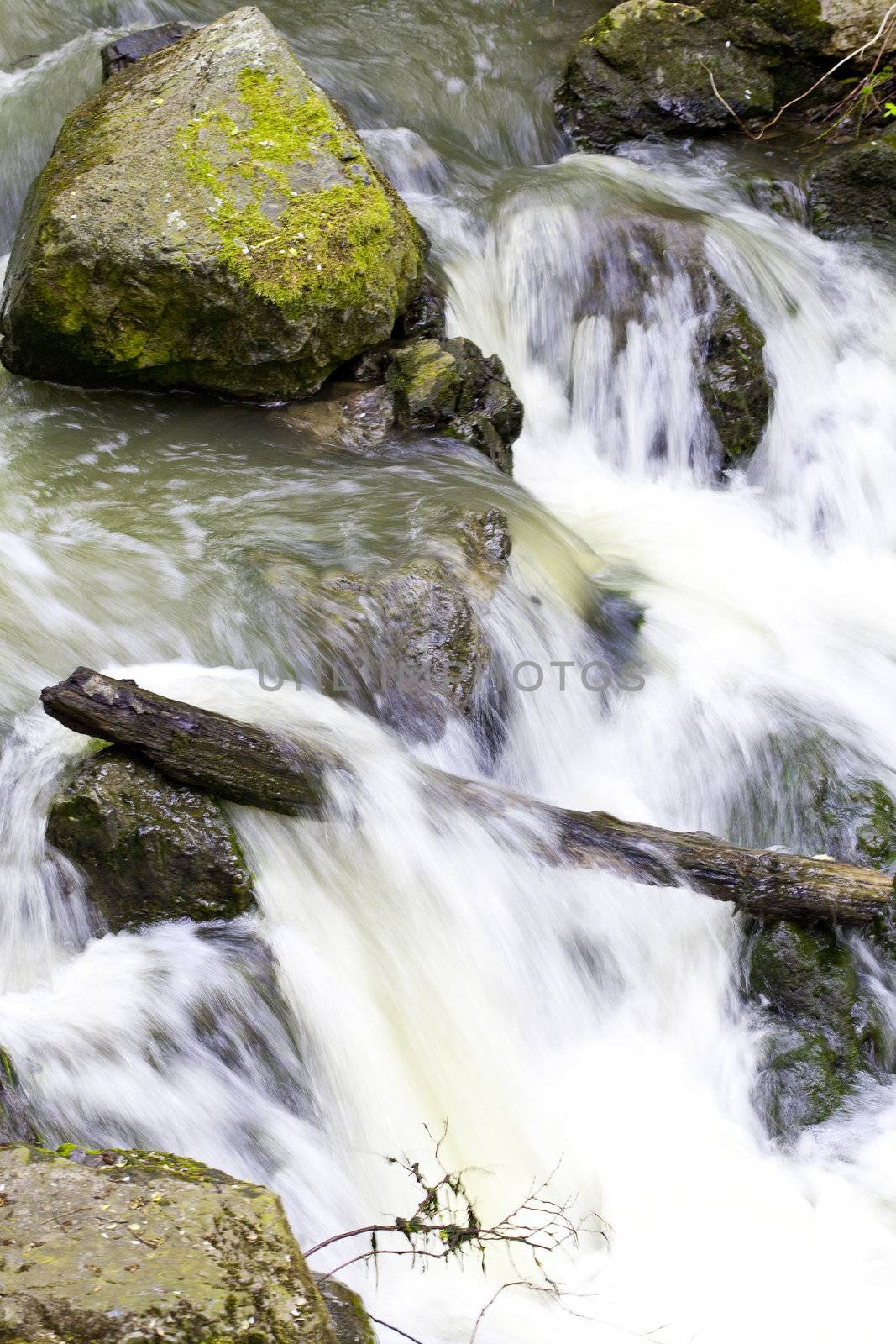 Water running in a mountain creek by jannyjus