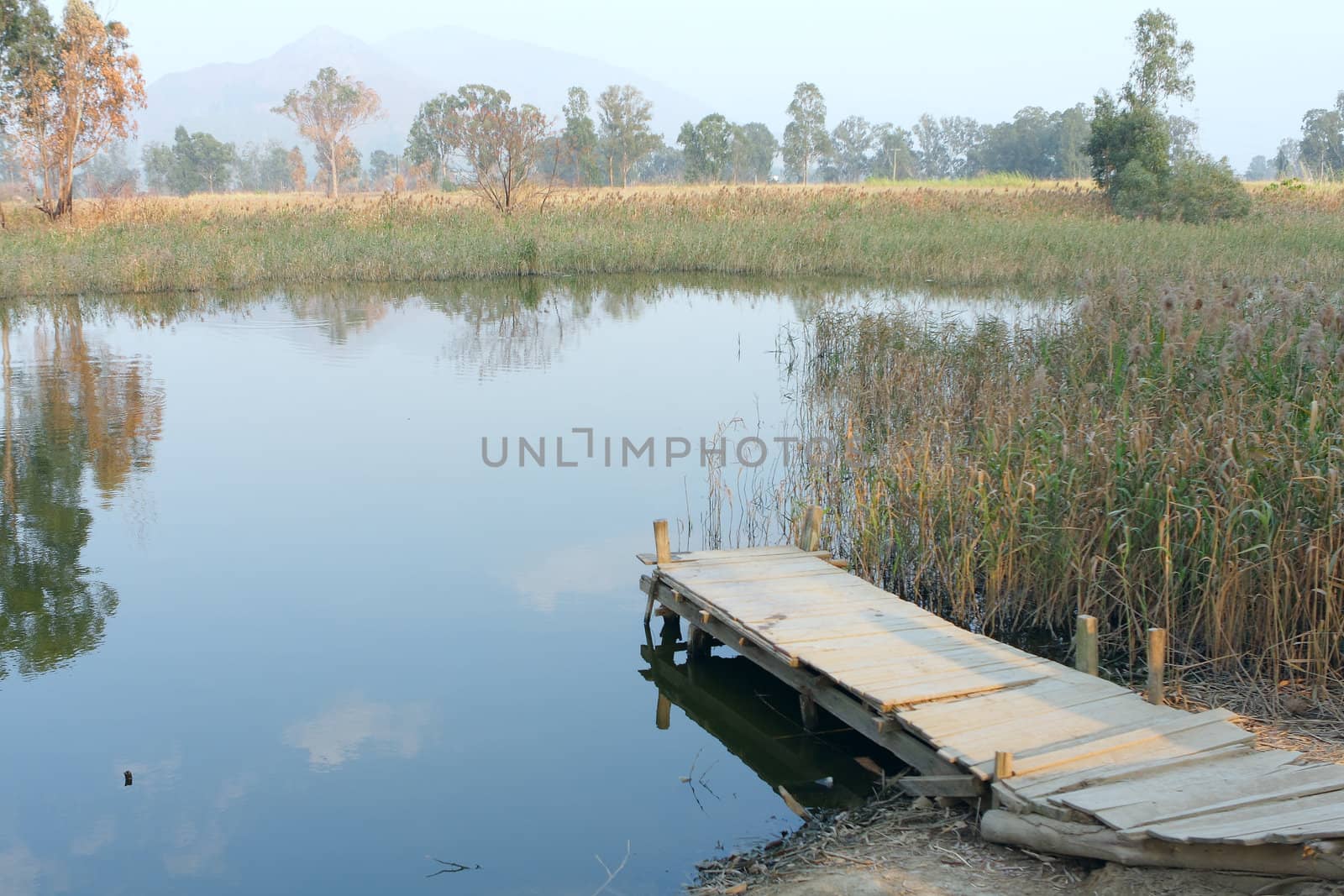 wooden pier in tranquil lake at morning 