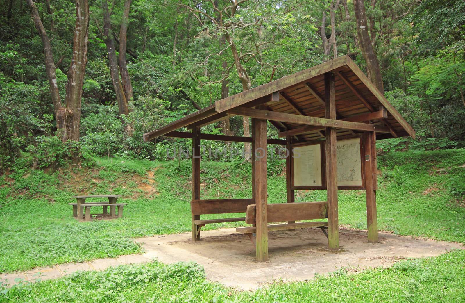 Pavilion in forest at day