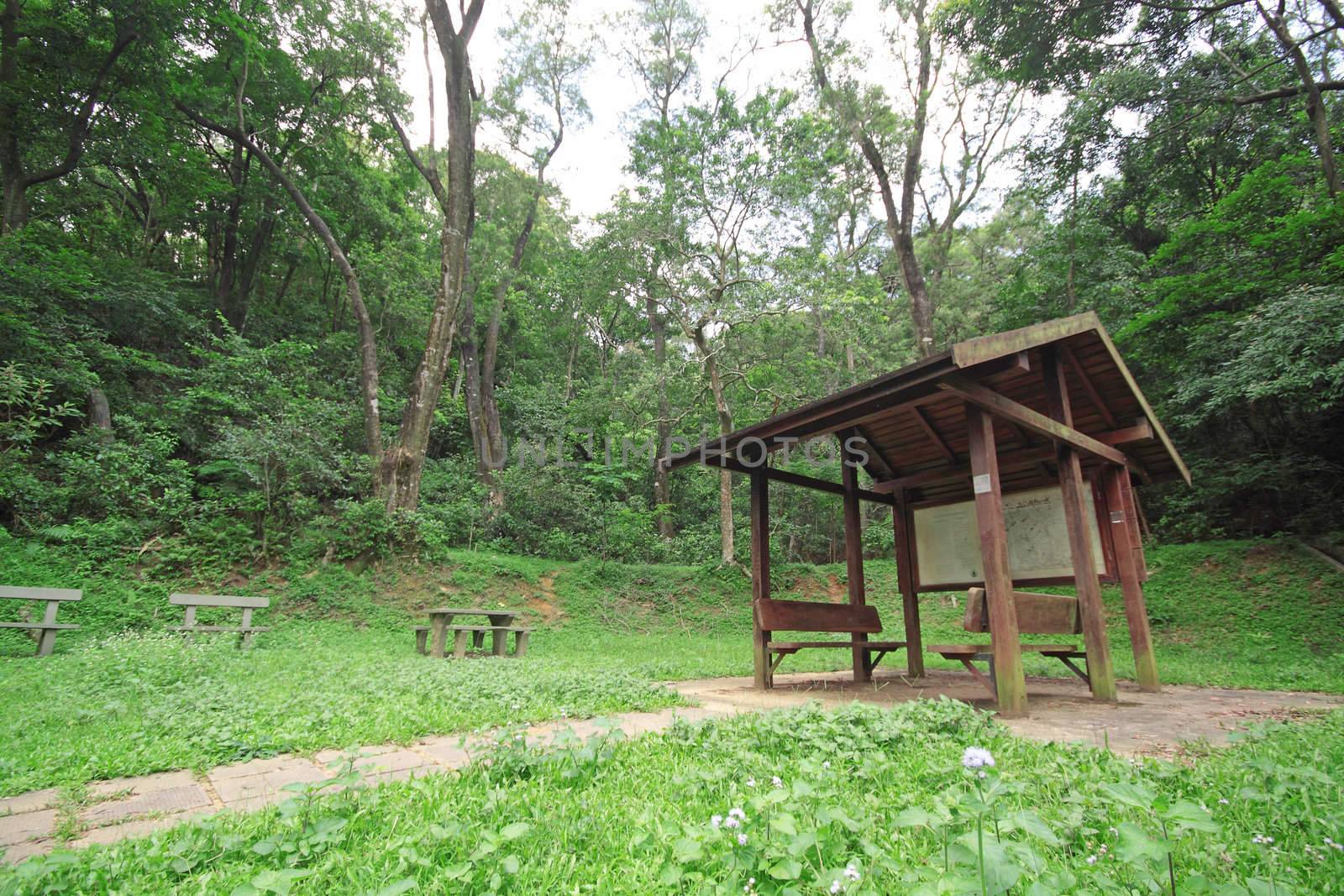 Pavilion in forest at day