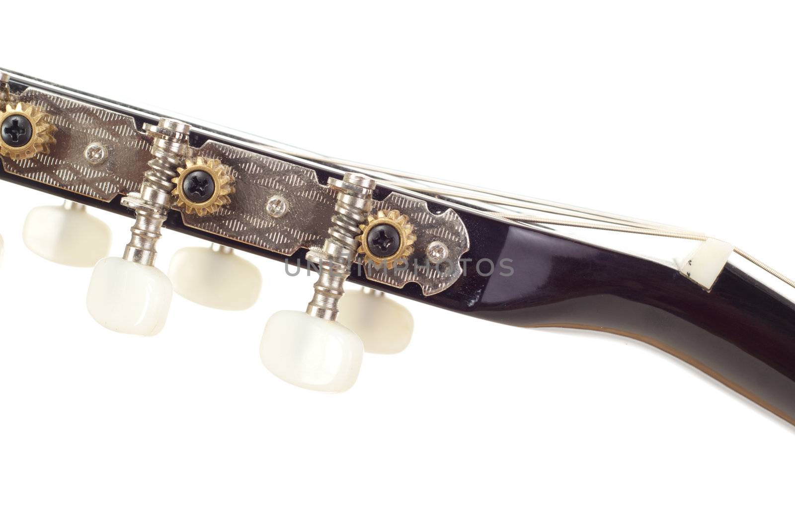 Headstock of a guitar