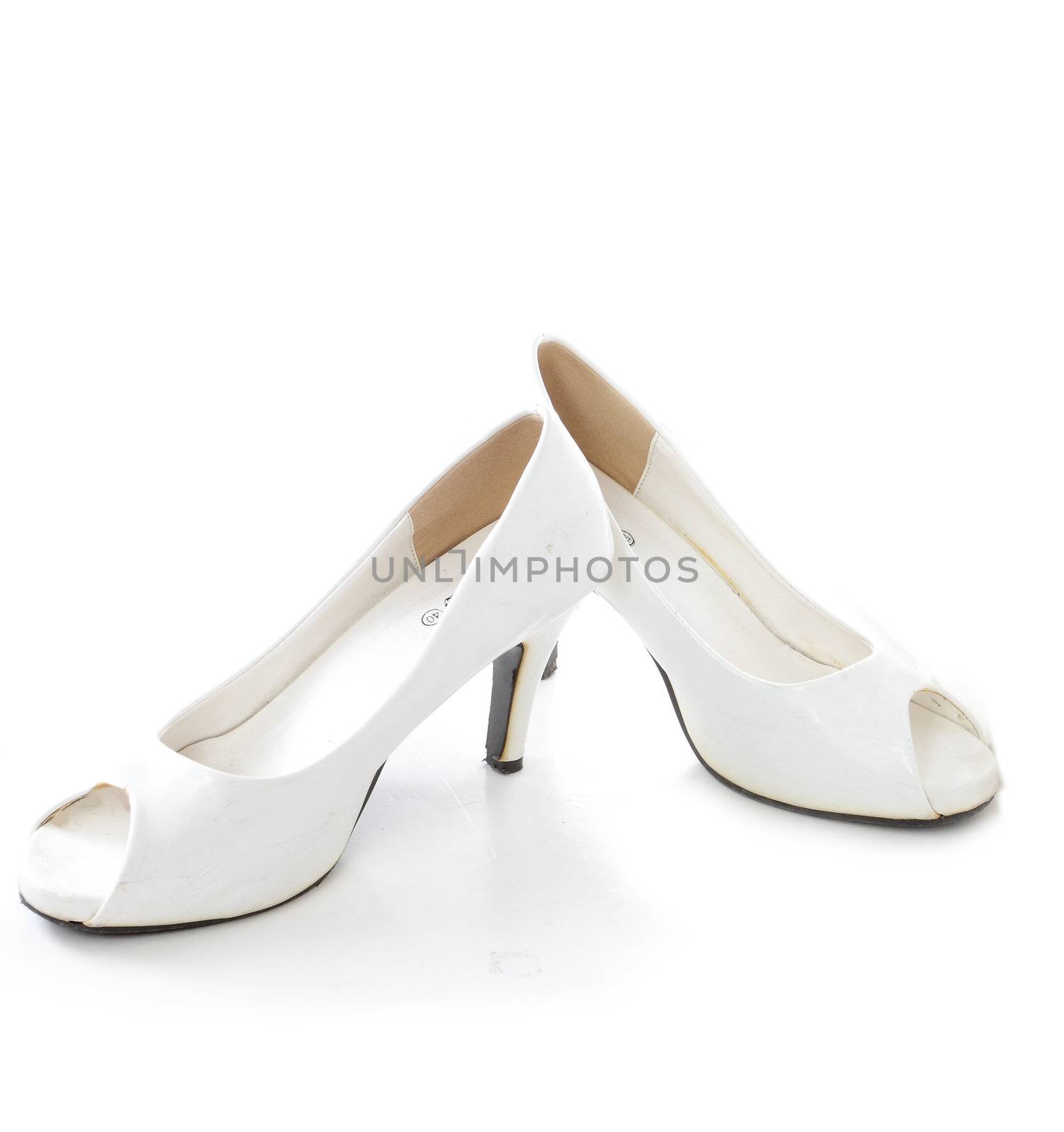 high heel women shoes on white background 