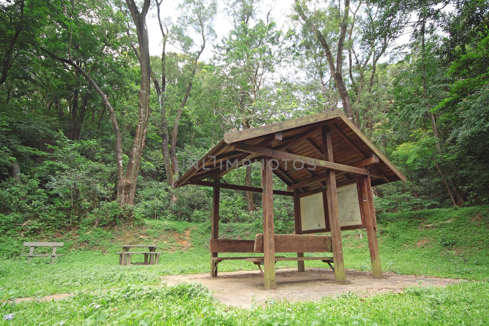 Pavilion in forest at day