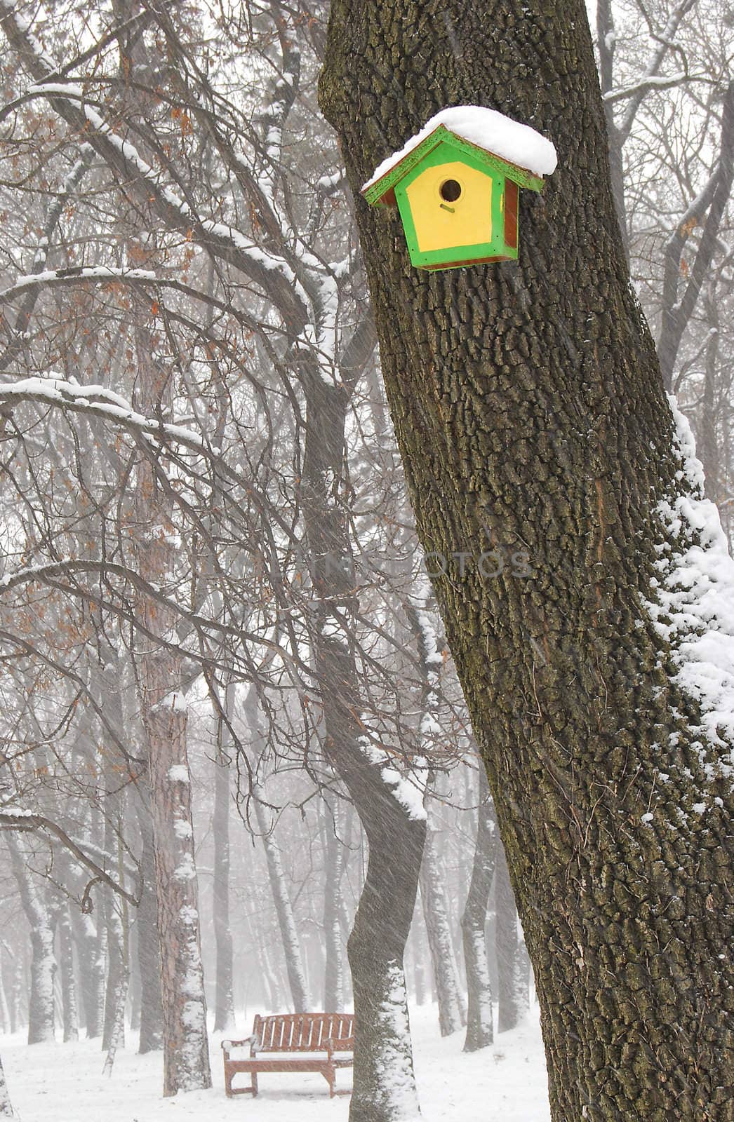 Birdhouse and bench in winter, trees, snowfall