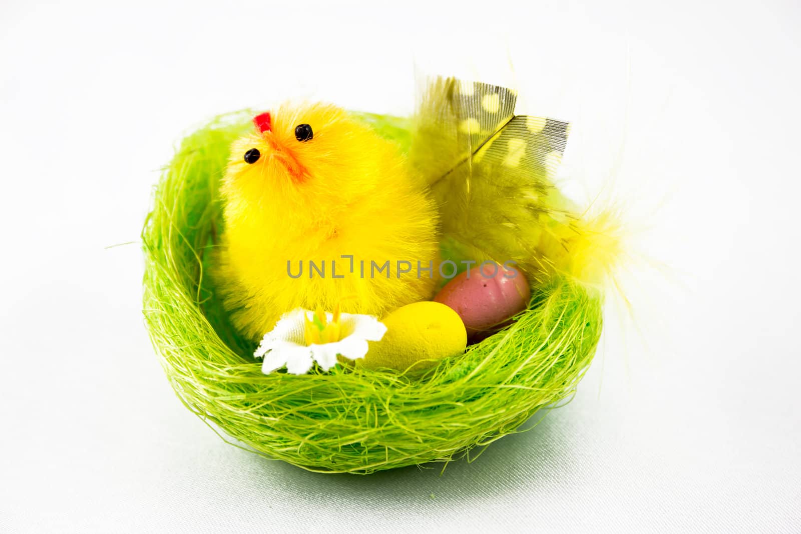 Easter chick