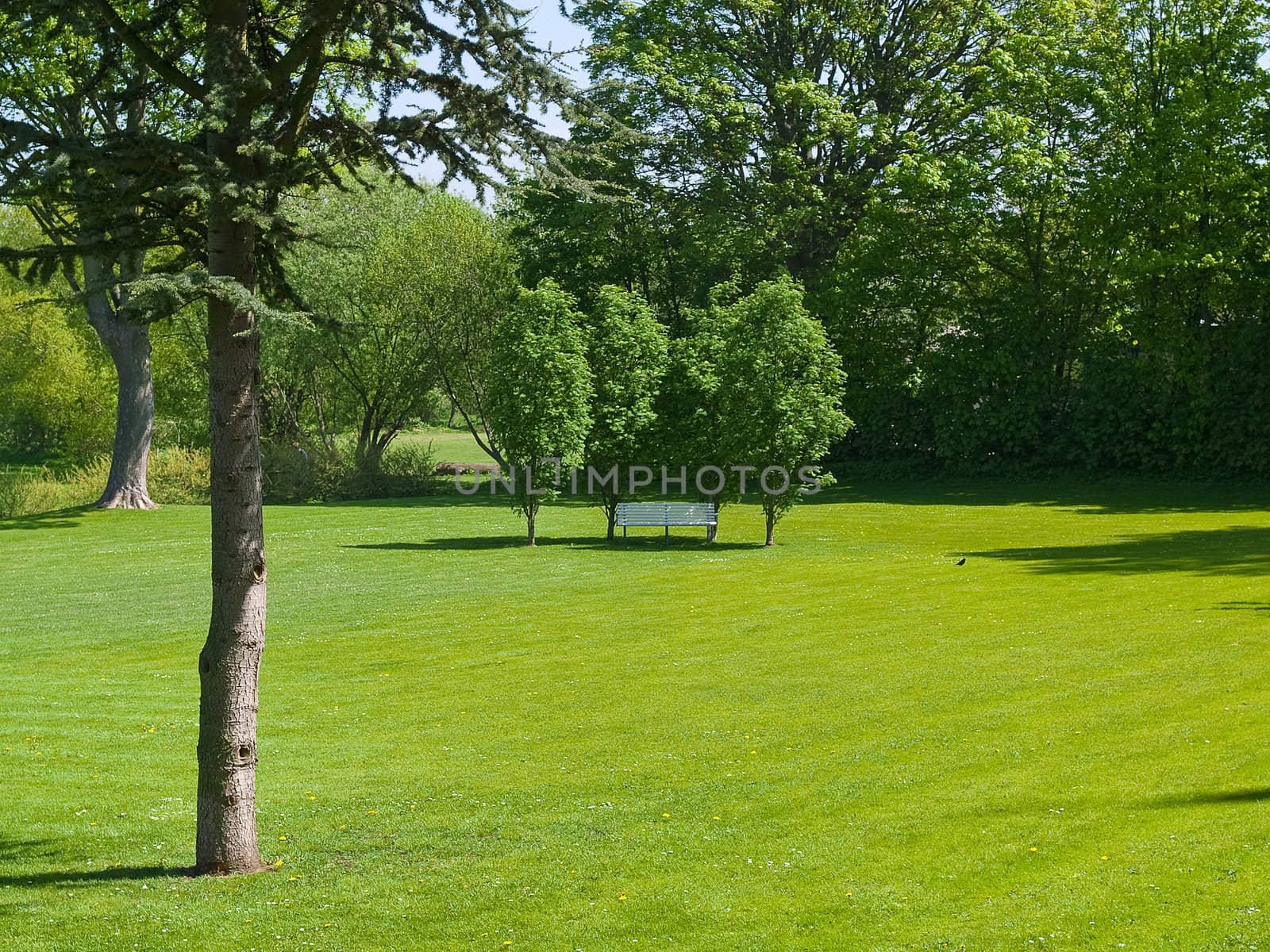 Single romantic wooden bench in a city park with wide green lawn