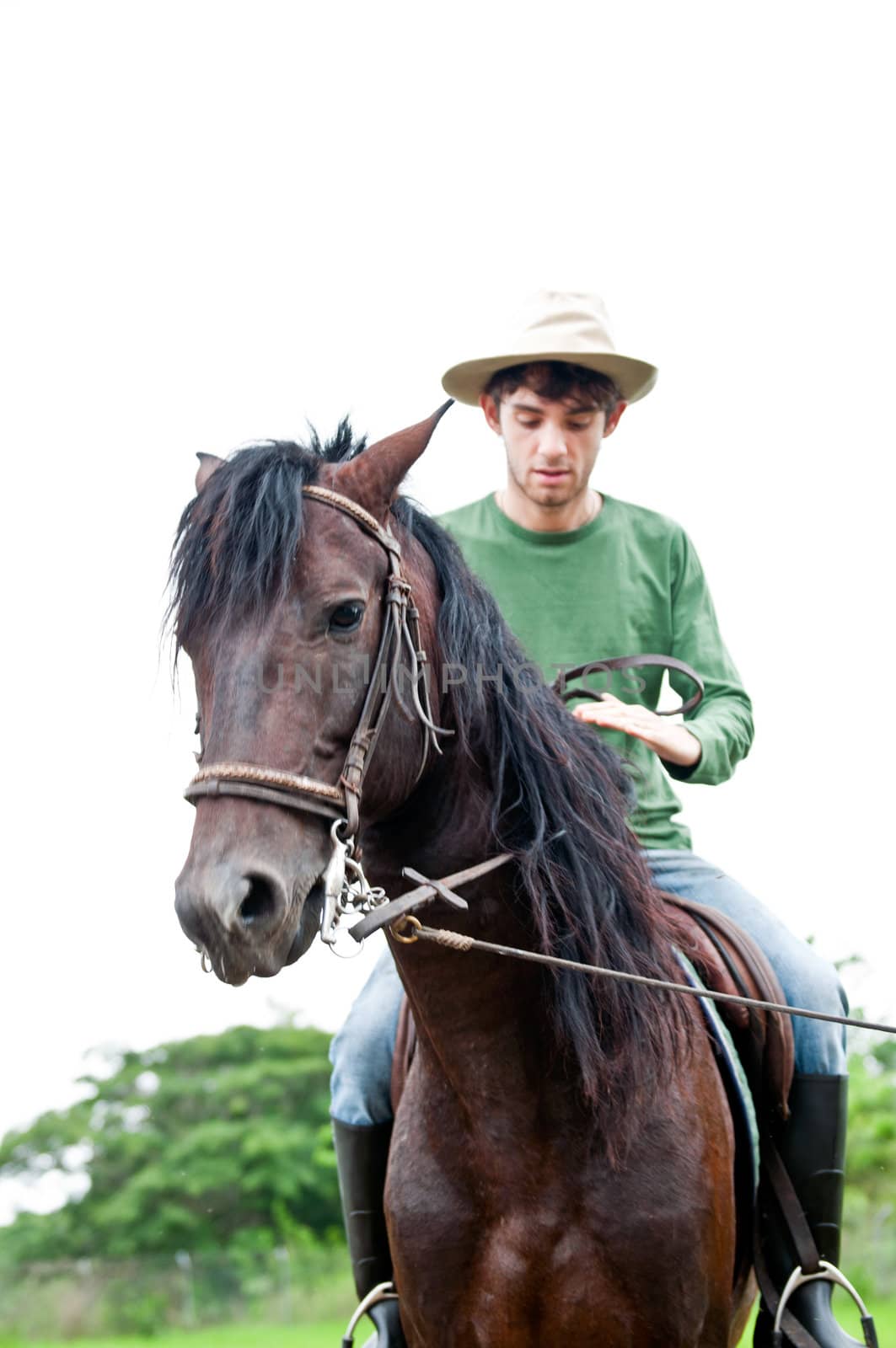 Horses and riders on a farm in Ecuador