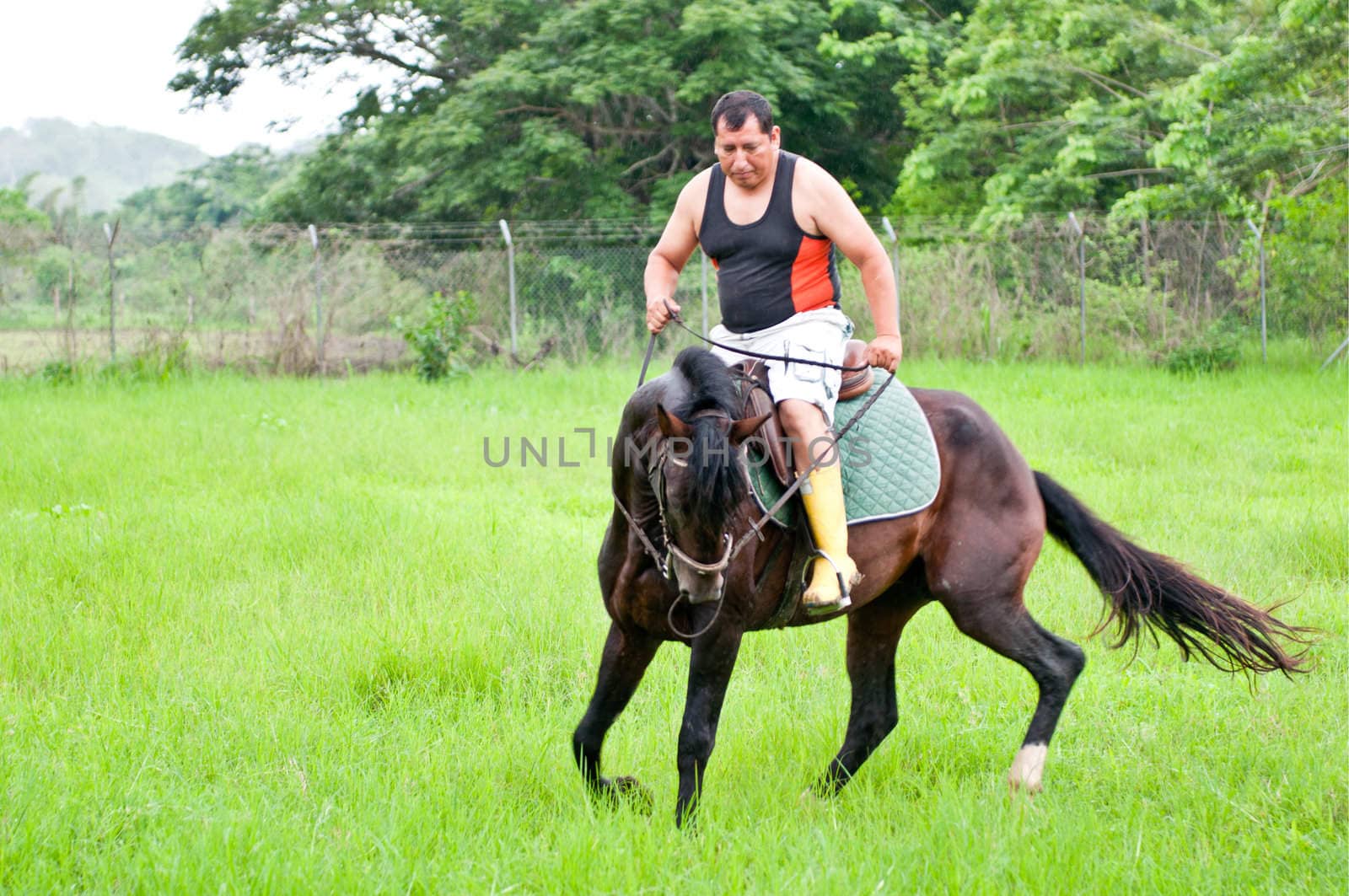 Men on horseback in the rain on a farm in Ecuador