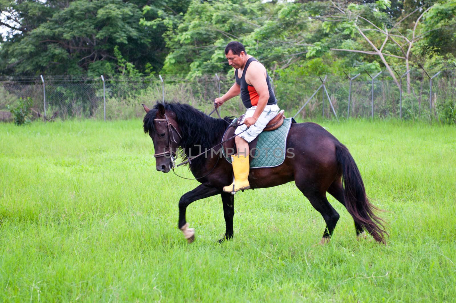 Horses and riders on a farm in Ecuador