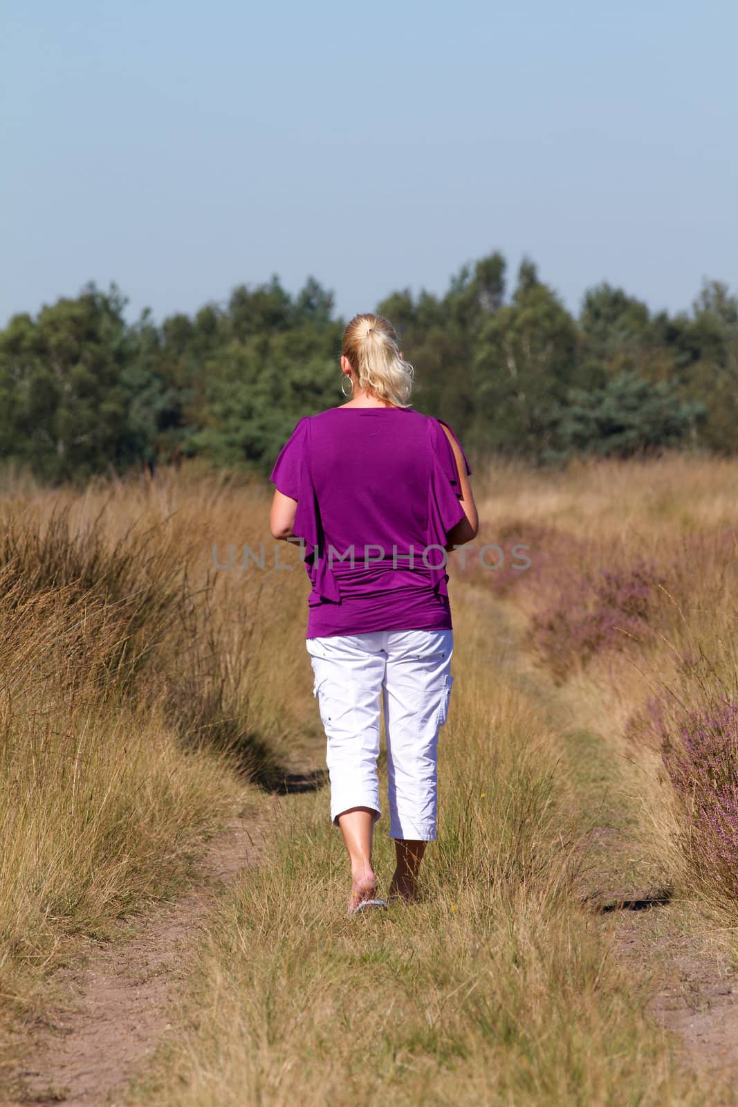 Woman is walking on heath seen from the back