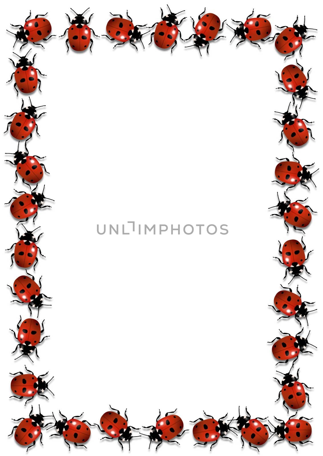 Illustration of a frame made of ladybirds