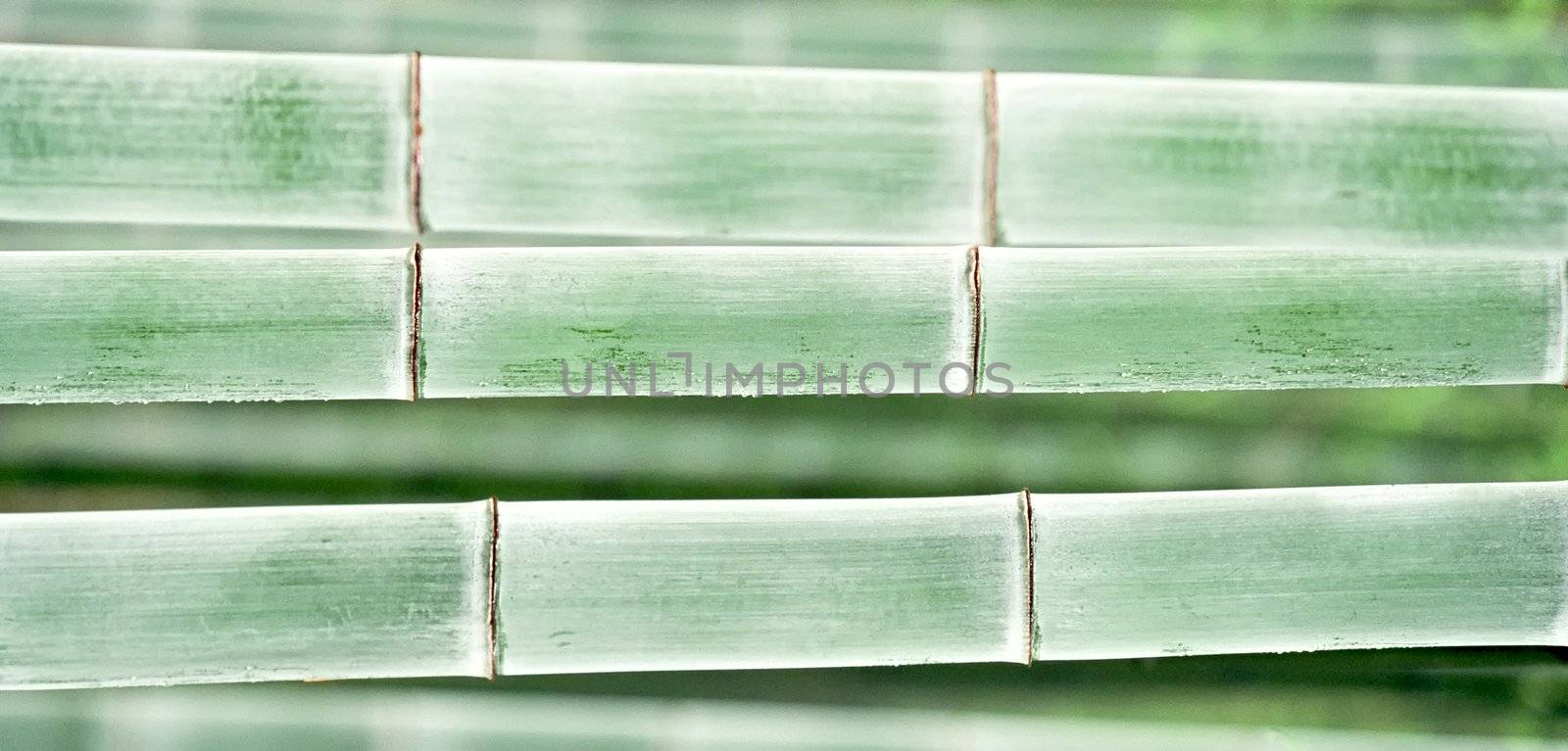 bamboo background by ozaiachin