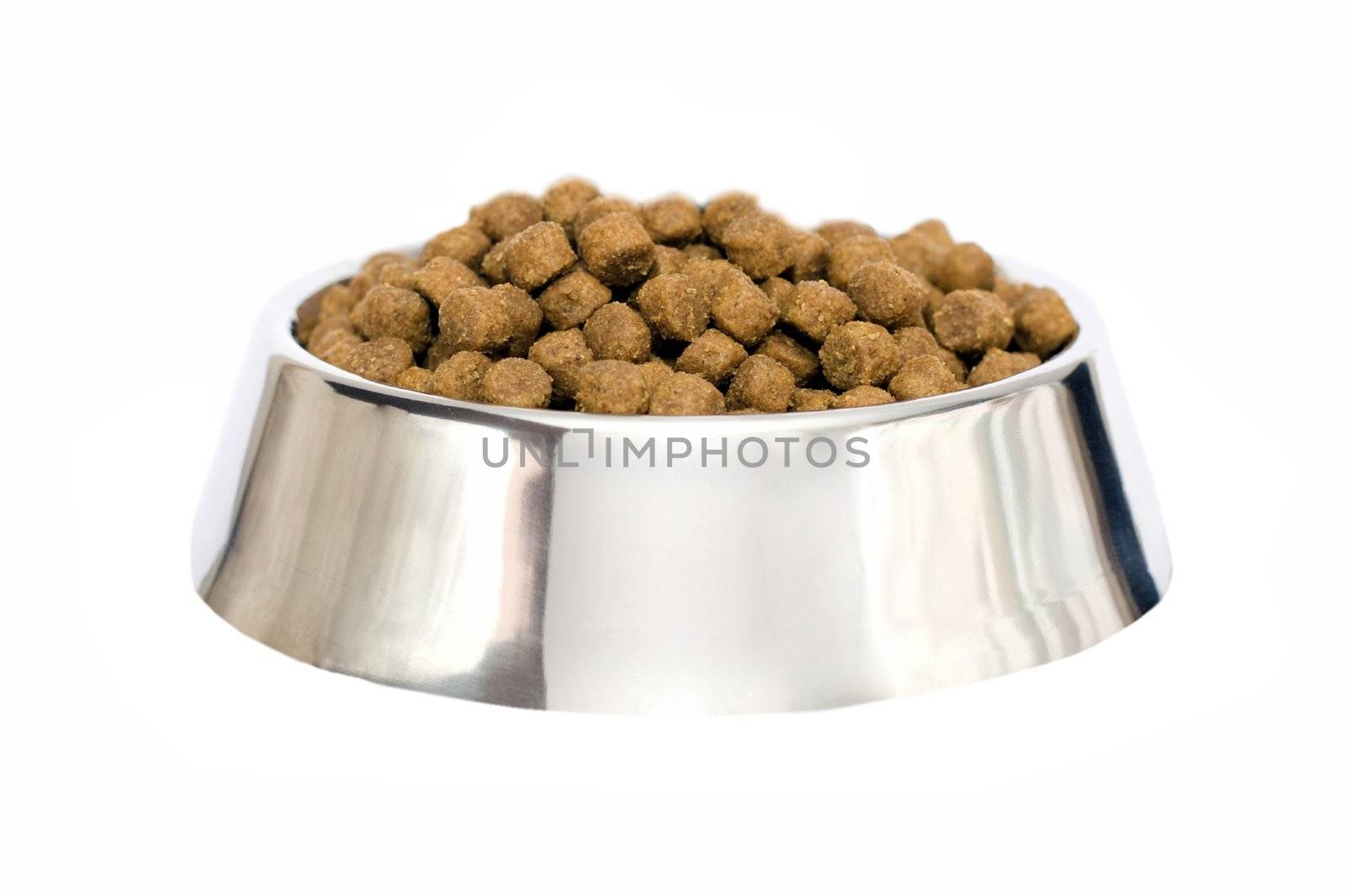 dog food isolated