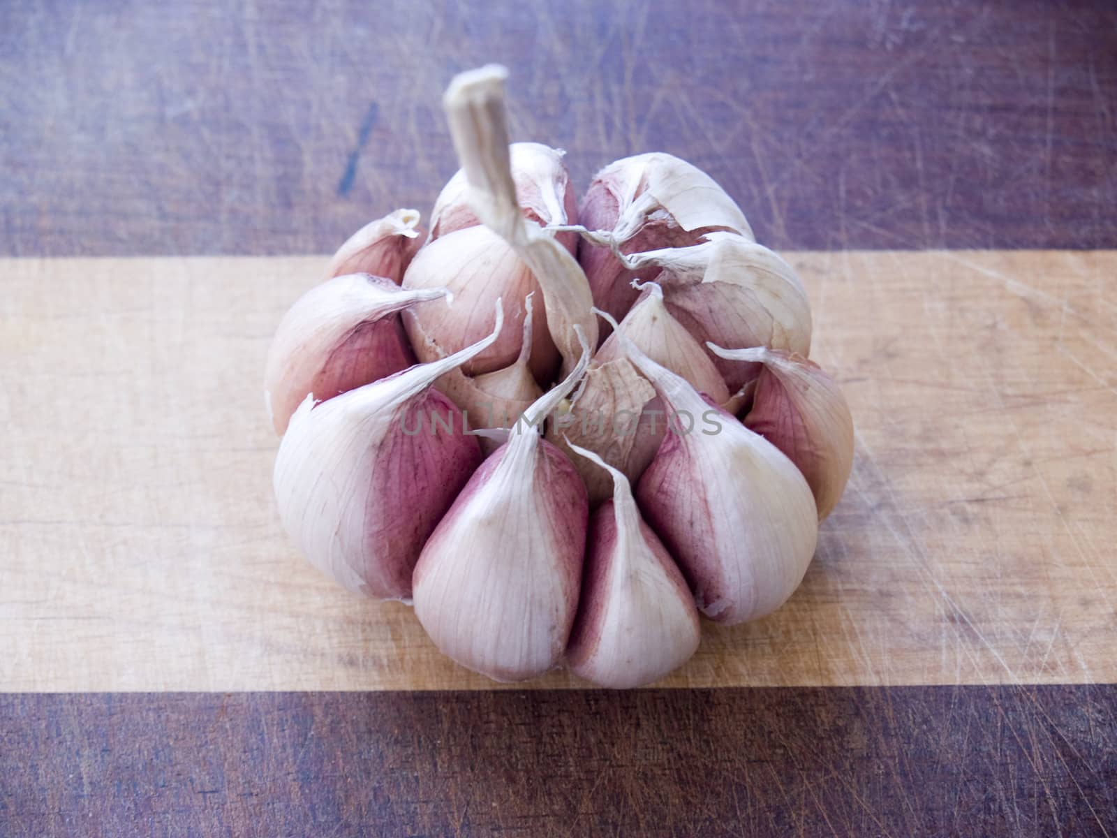 Garlic by lauria