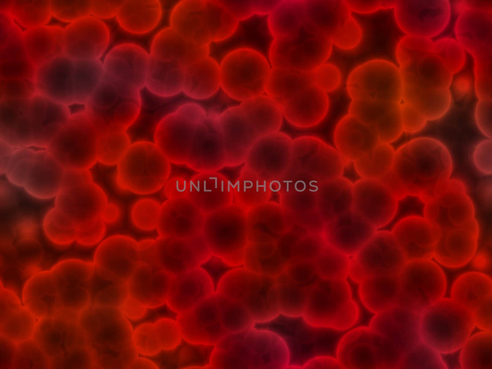 A field of red, circular cells (could be blood) - a realistic, 3d scientific / medical illustration.