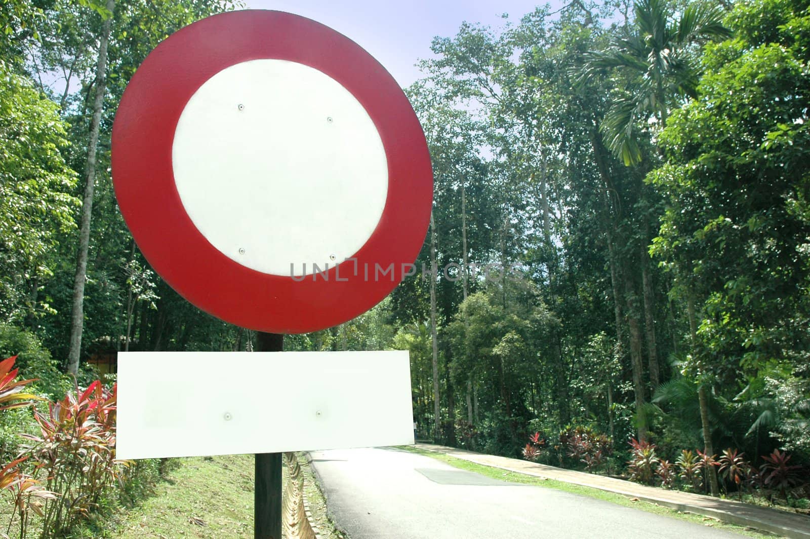 Blank / empty road sign with trees along the road