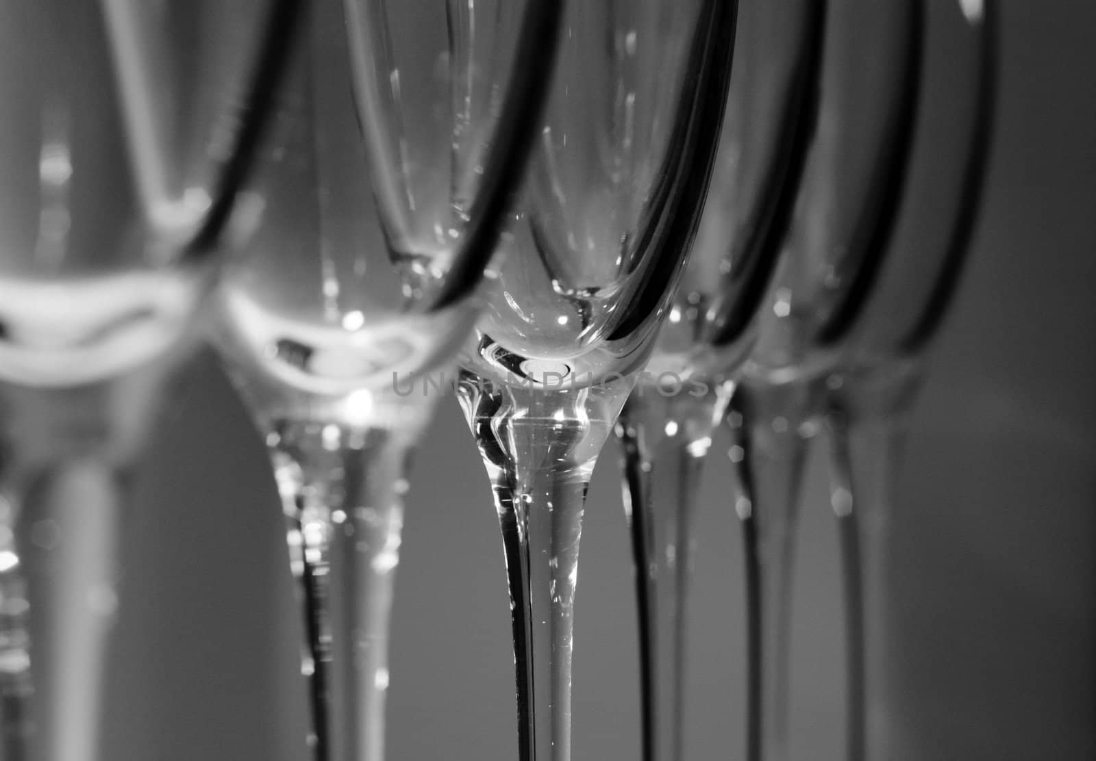 Empty wine glasses on the white background