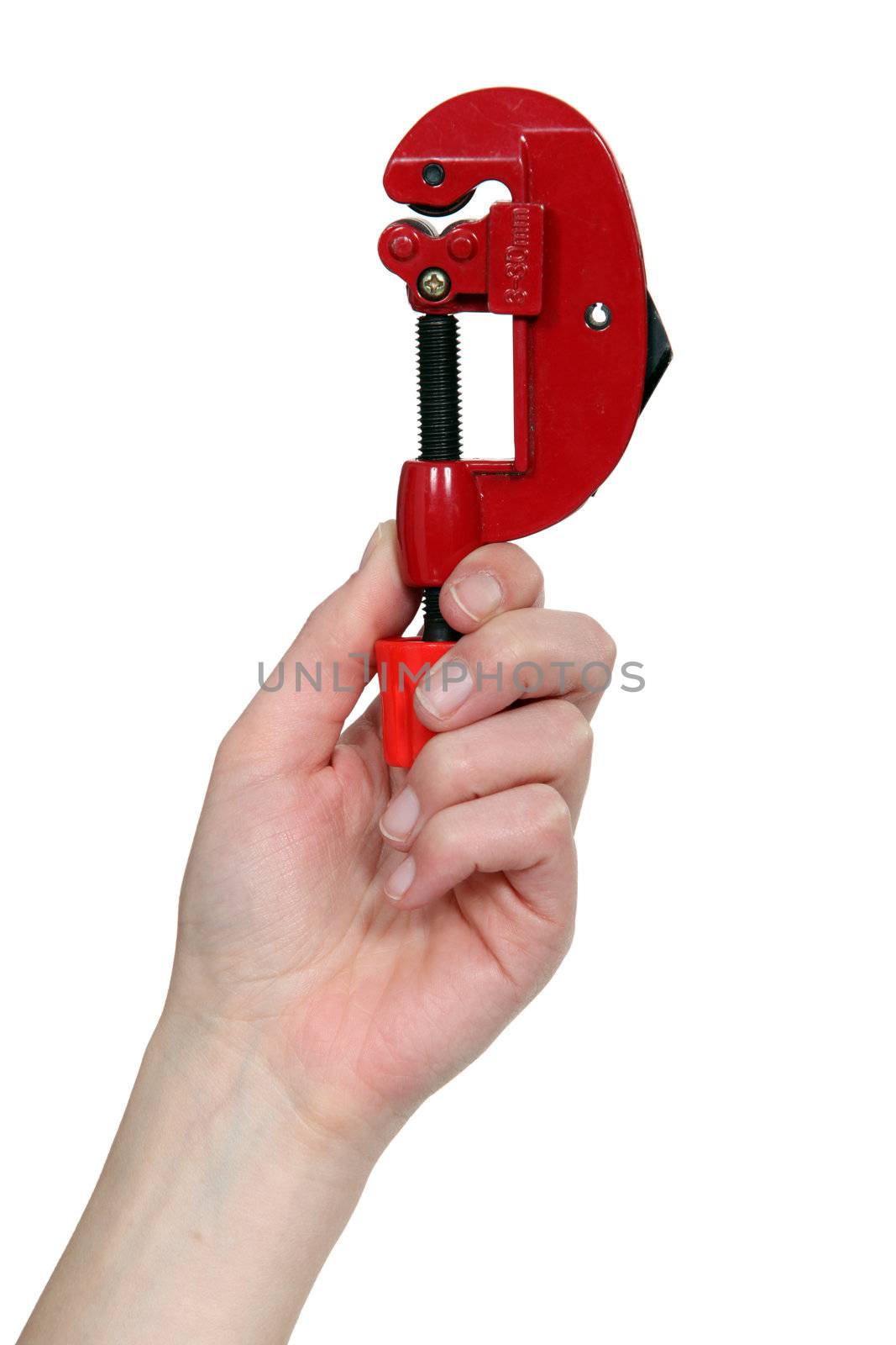 Woman holding clamp