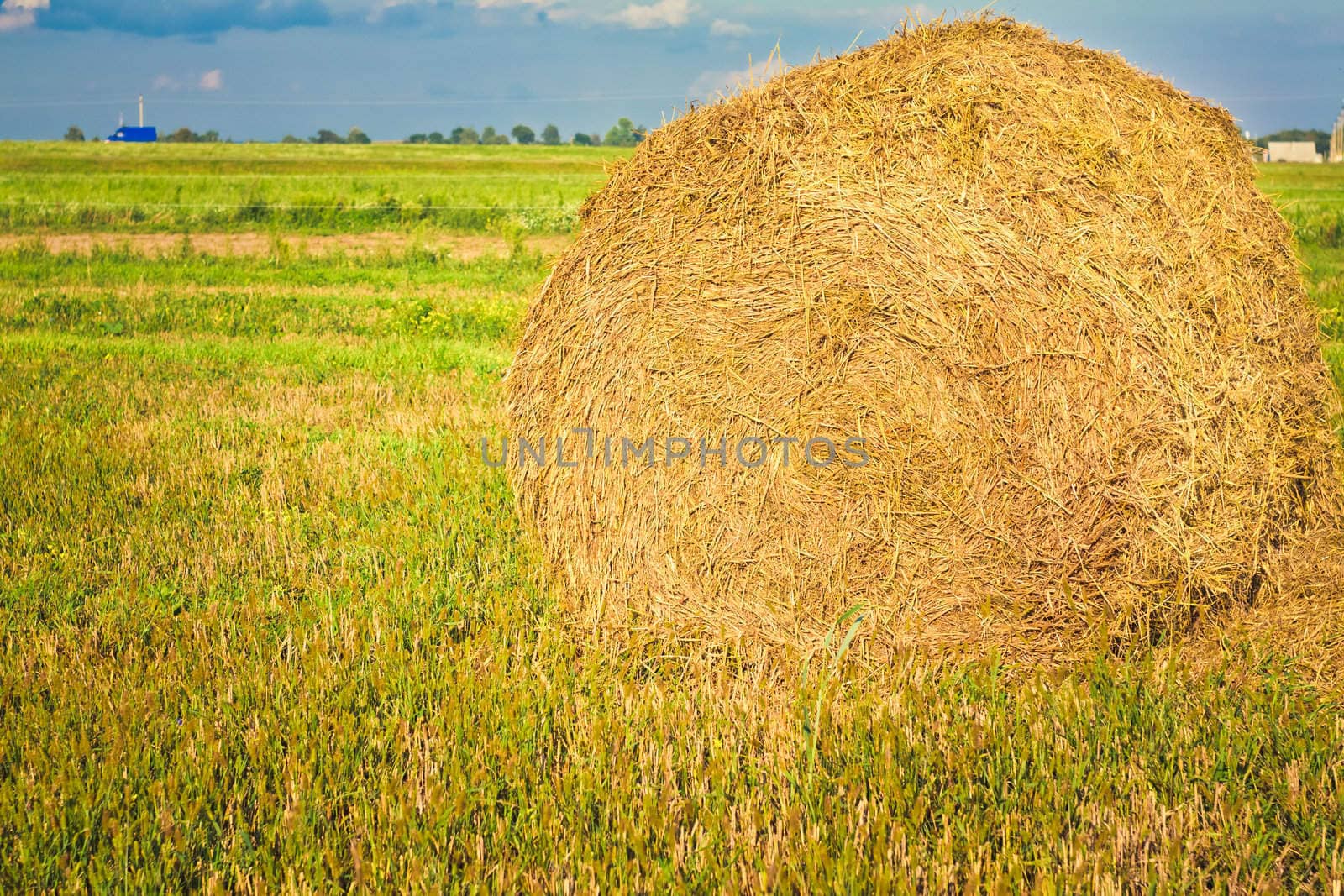 harvested field with straw bales in summer by ryhor