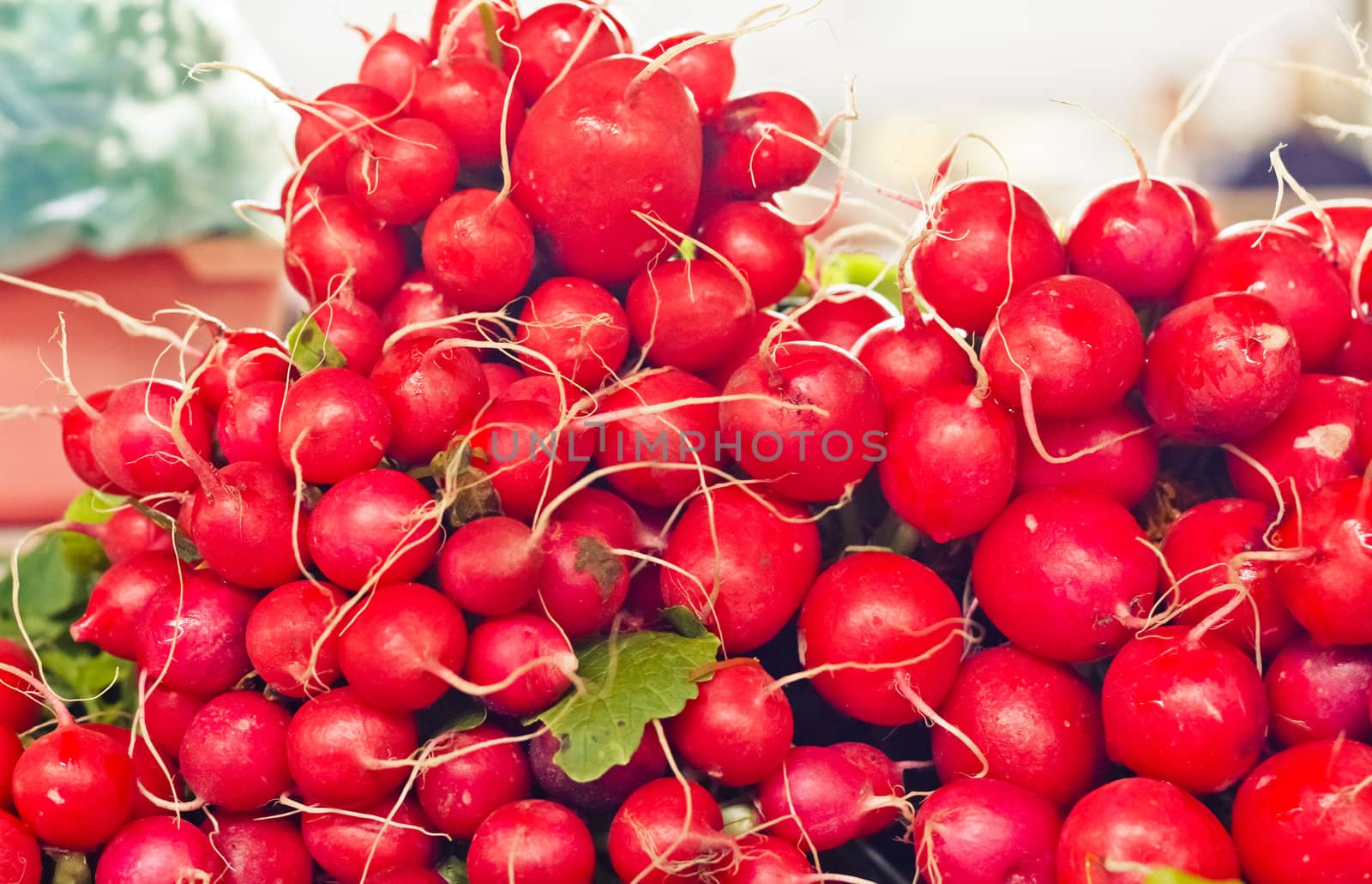 Freshly harvested radishes on display at the farmer's market. Tasty organic radish at local market