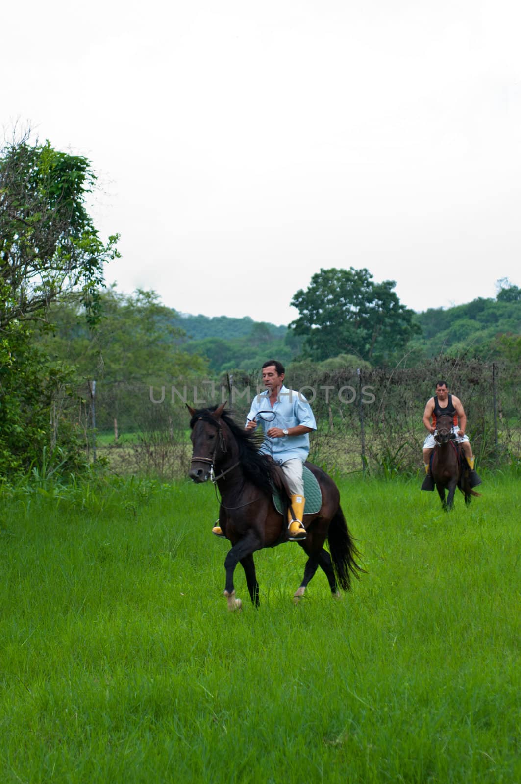 Horses and riders on a farm in Ecuador