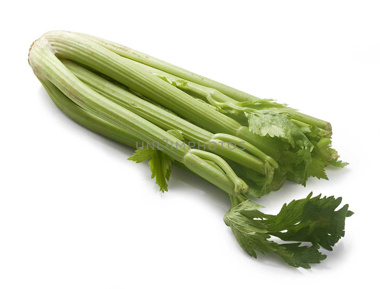 One isolated green celery on the white background
