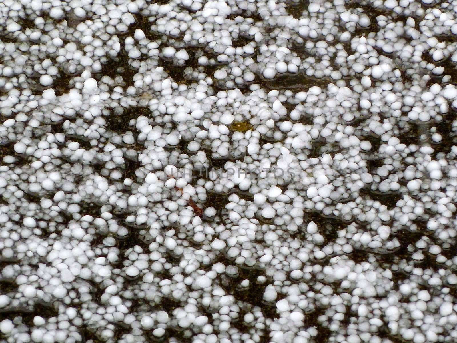hailstones by gazmoi