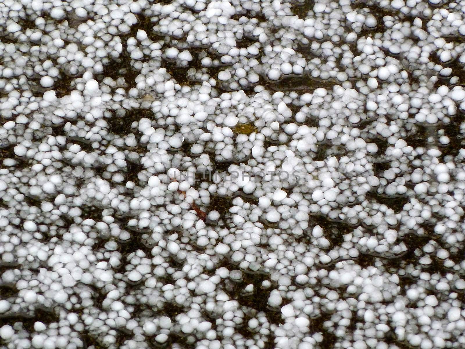 hailstones on the ground as a background