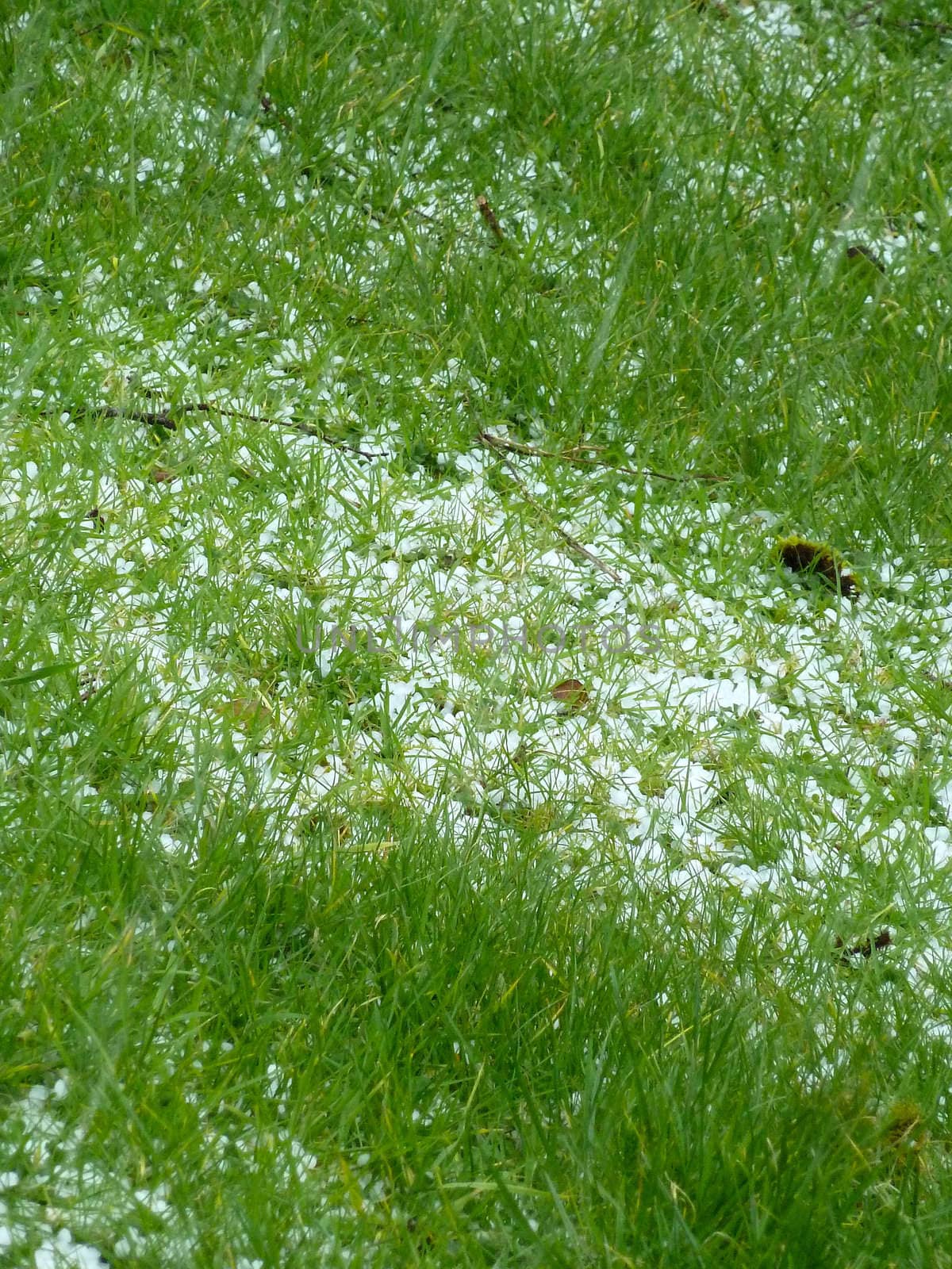 hailstones on grass after a sudden shower