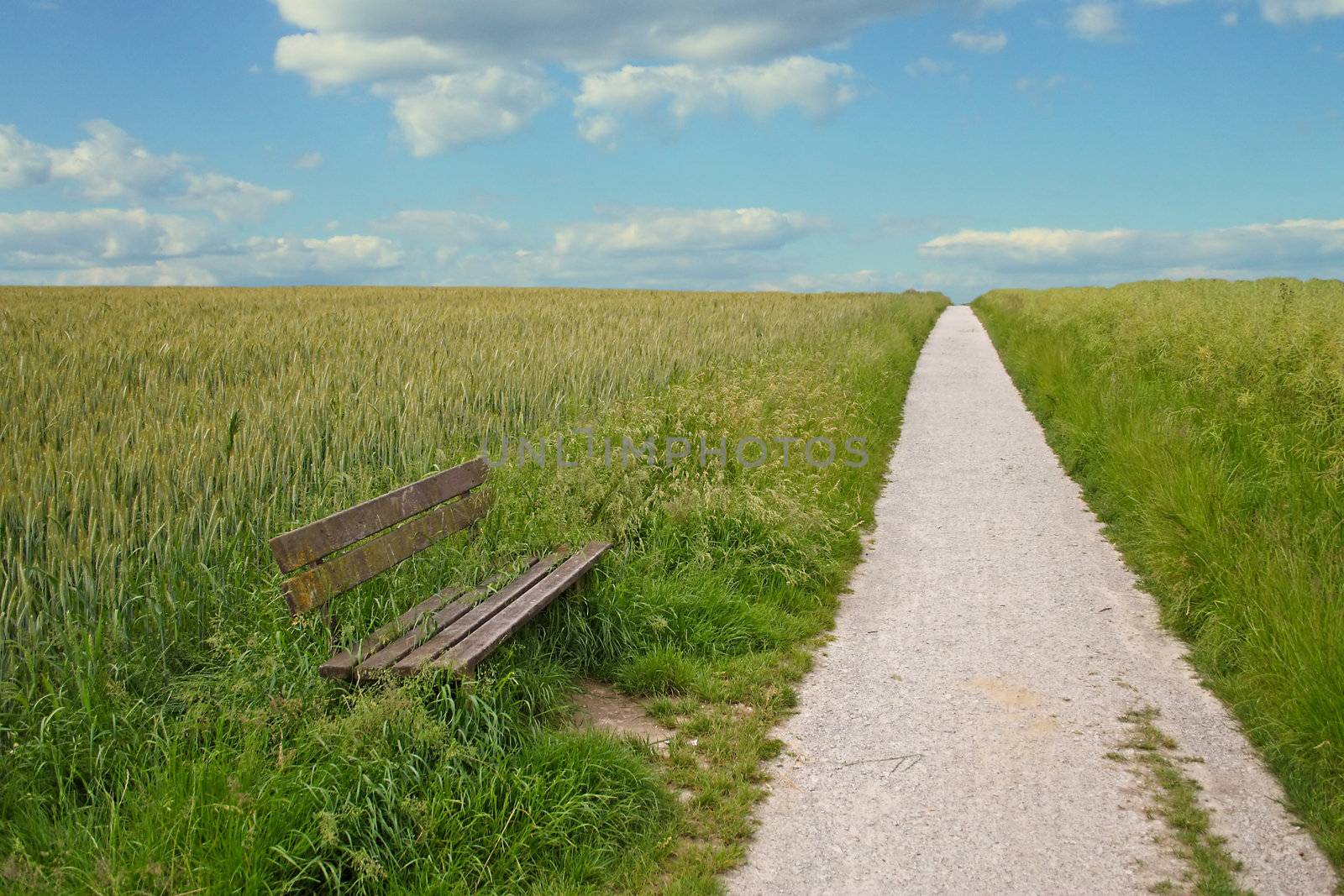 Wide Open Gravel Path by kaarsten