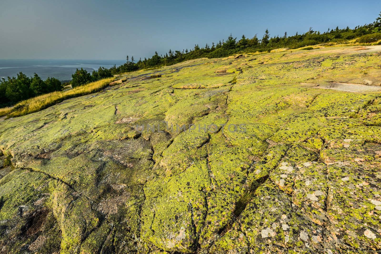 Cadillac Mountain ("Green Mountain")  - Acadia National Park in Maine,