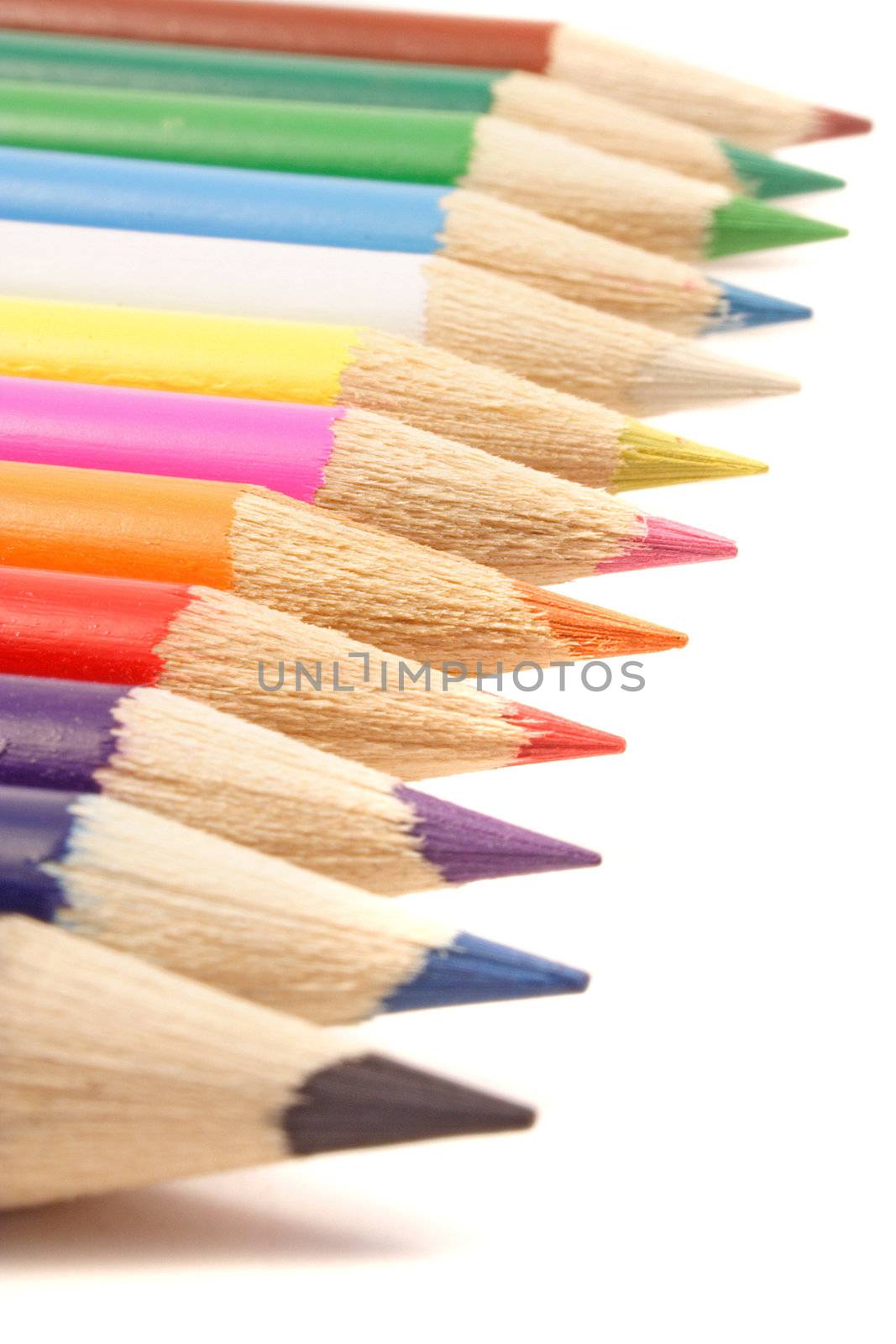 A line of colorful crayons. All isolated on white background.