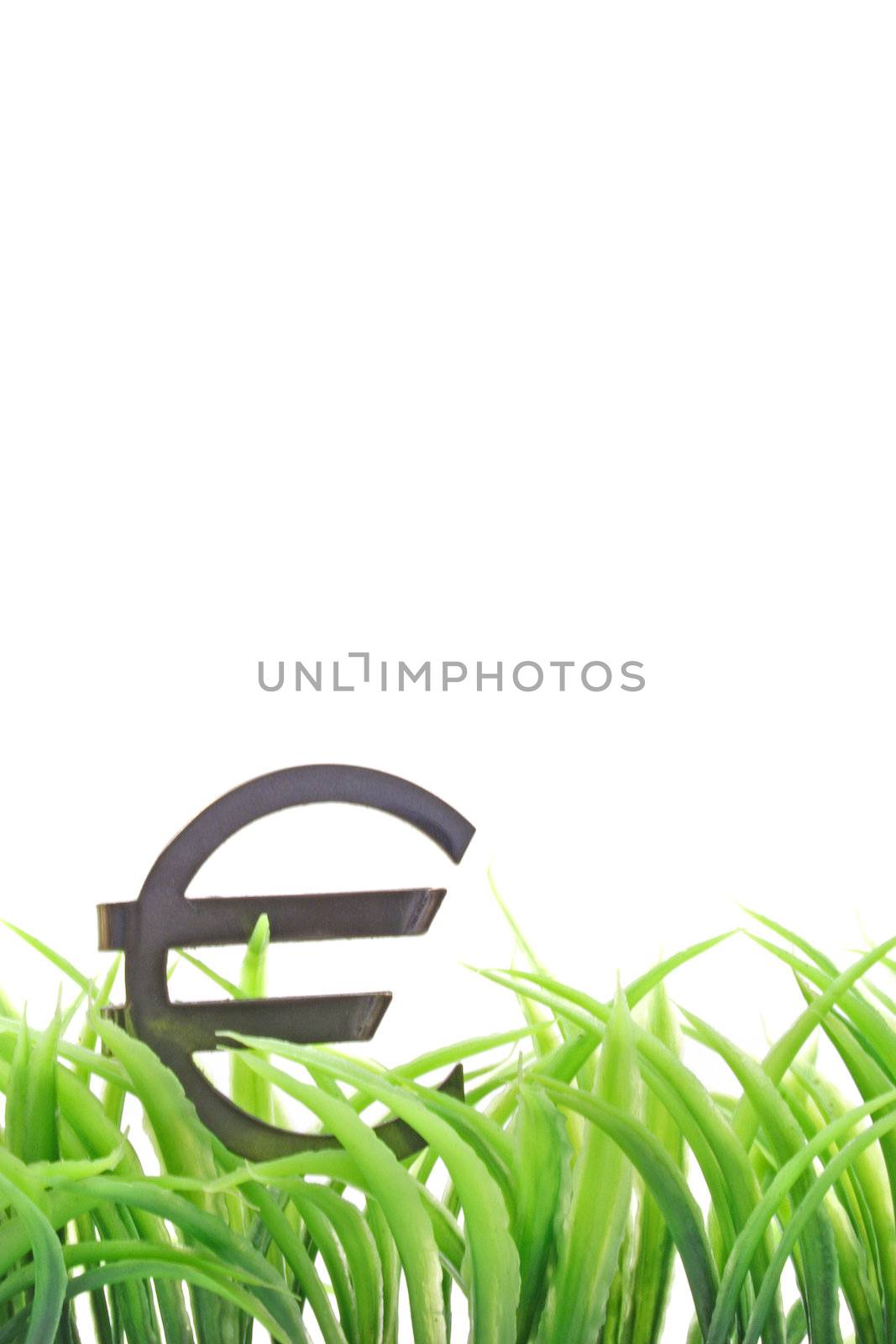 A Euro sign on some blades of grass. All isolated on white background.