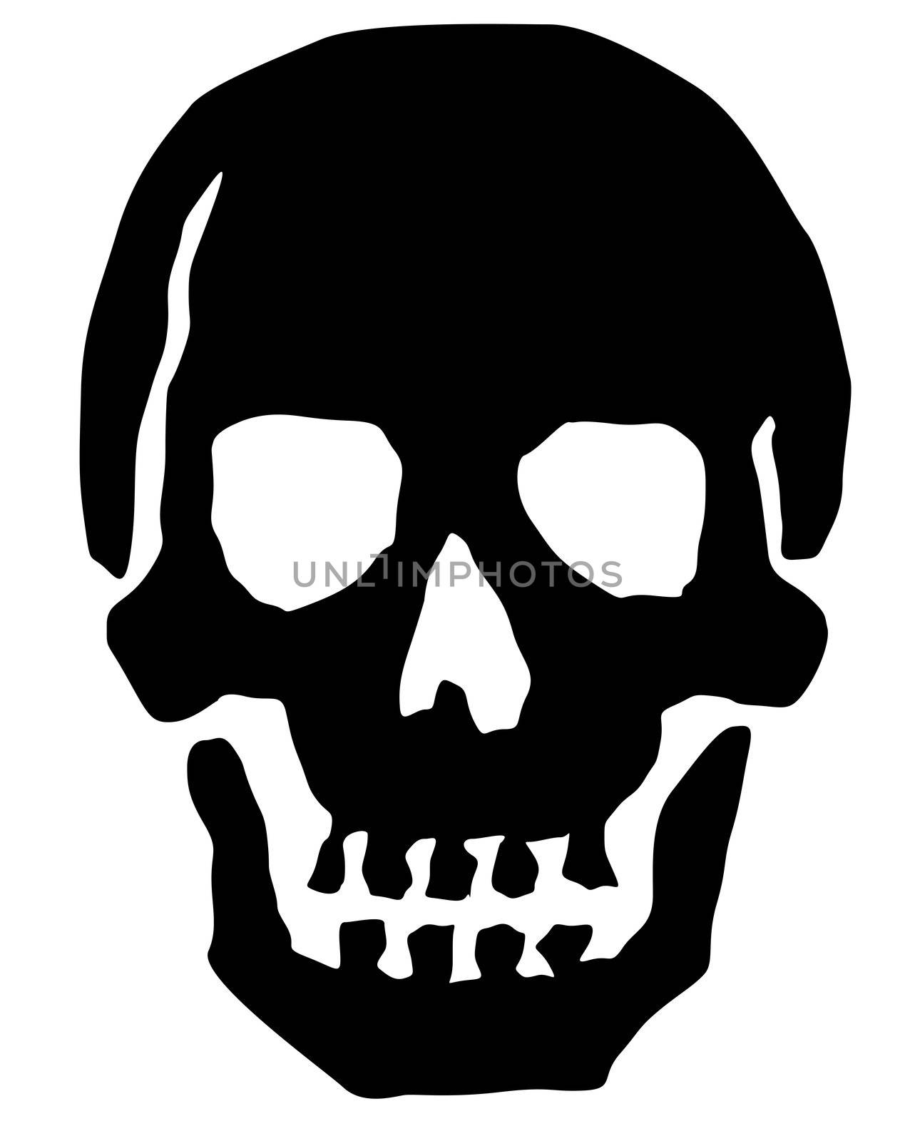 An illustrated black skull.