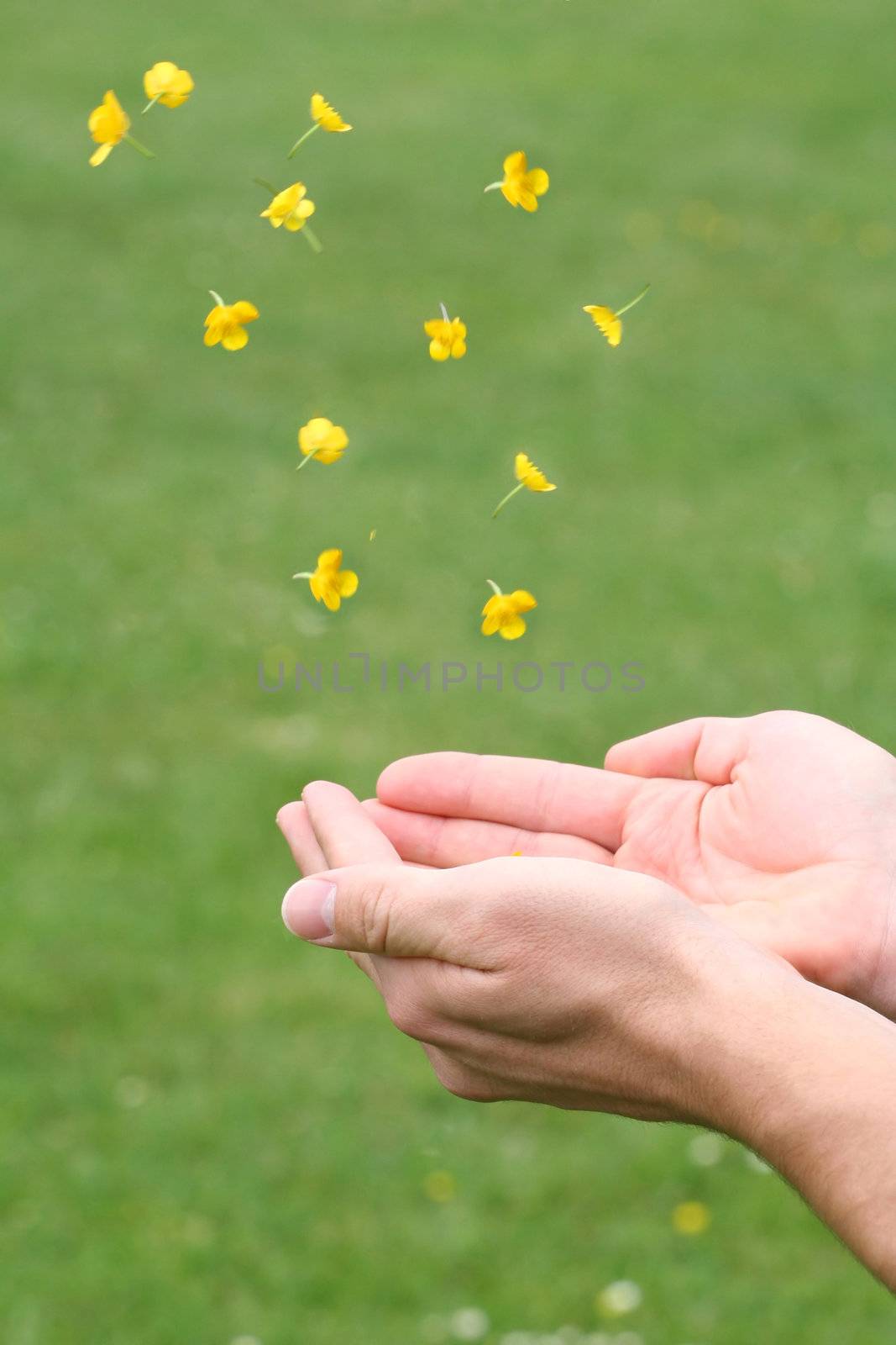 Hands catching falling blossoms symbolize to live in close touch with nature.