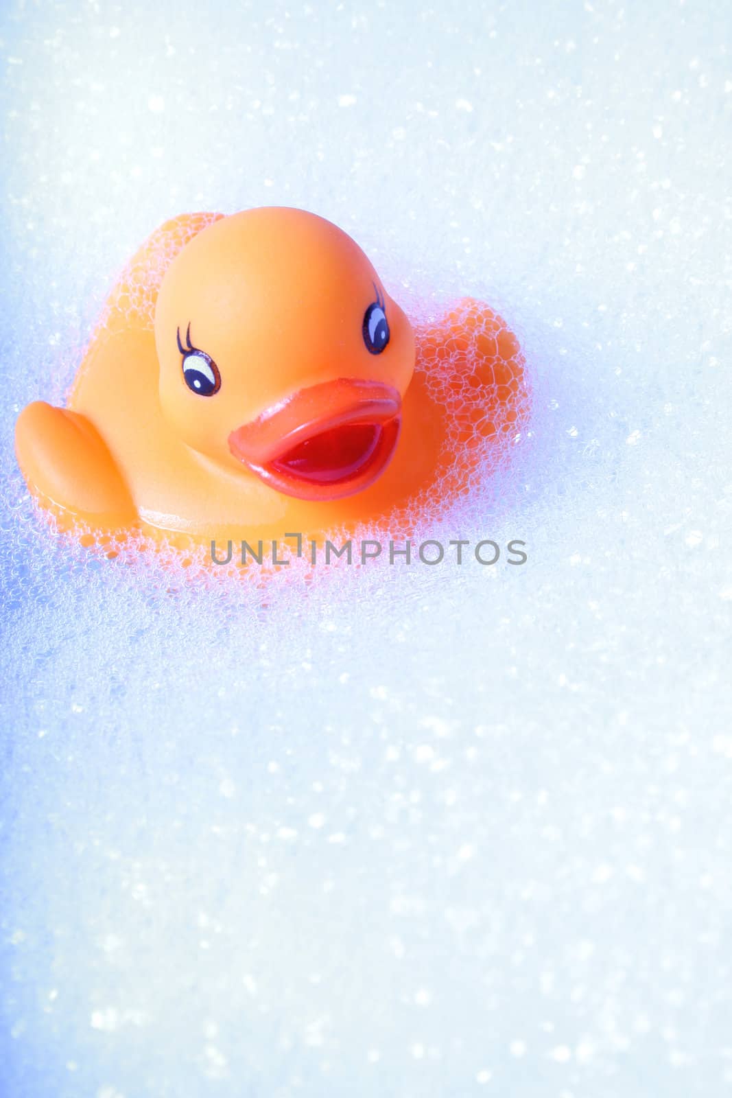 A rubber duck swimming in a foam bath.