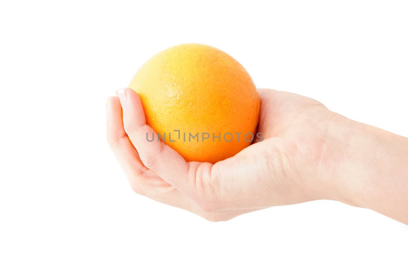 A human hand holding an orange. All isolated on white background.