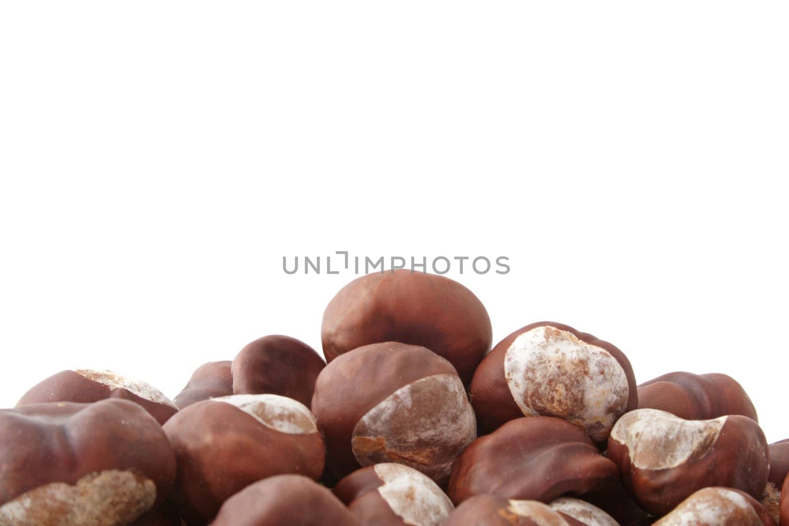 A pile of chestnuts in front of white background.