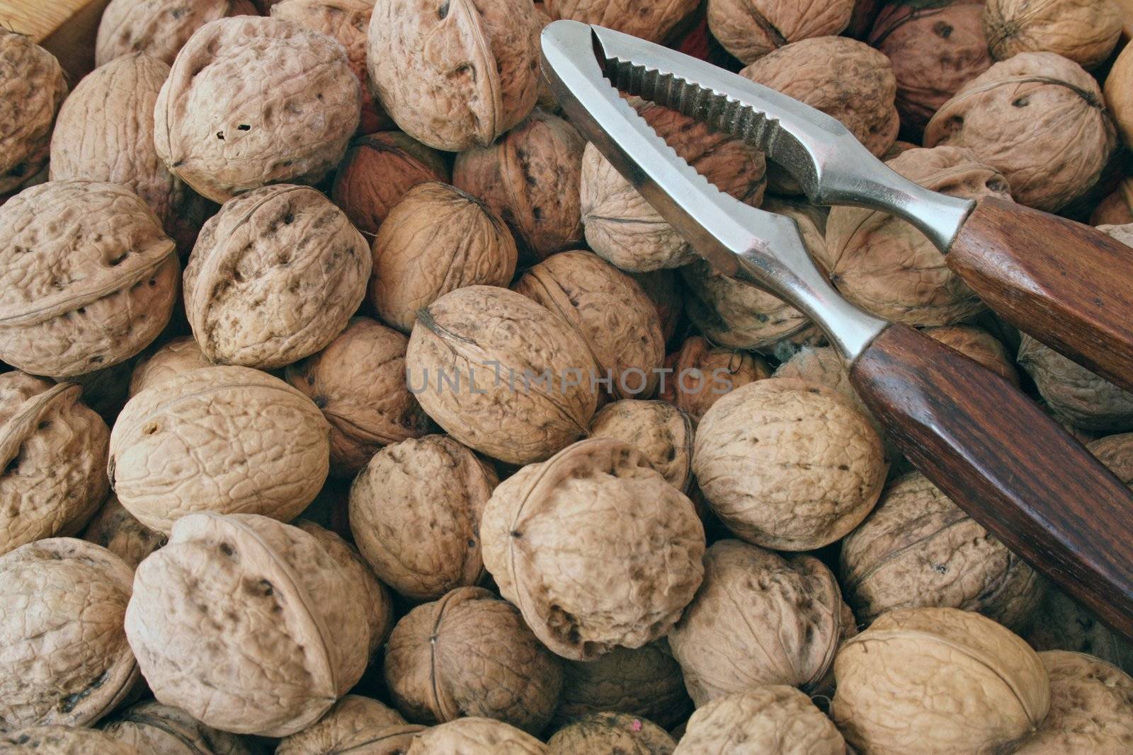 A nutcracker lying on a pile of walnuts.