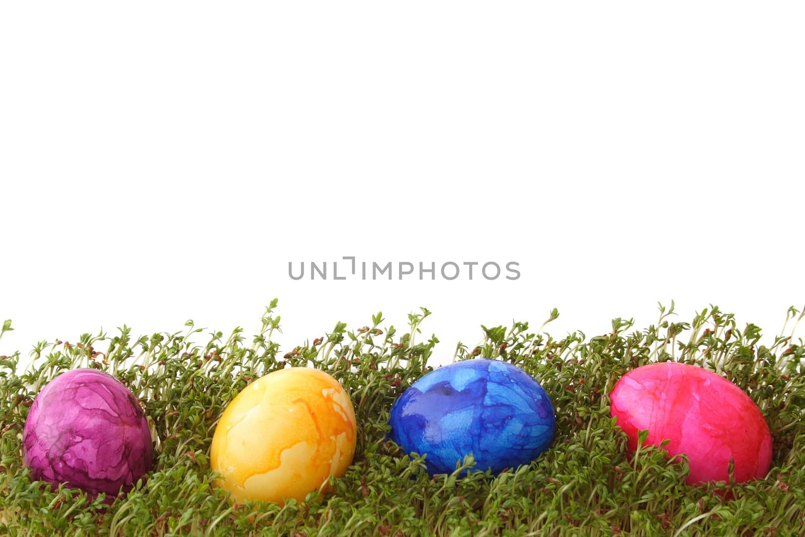 Four painted easter eggs lying in the grass. All isolated on white background.